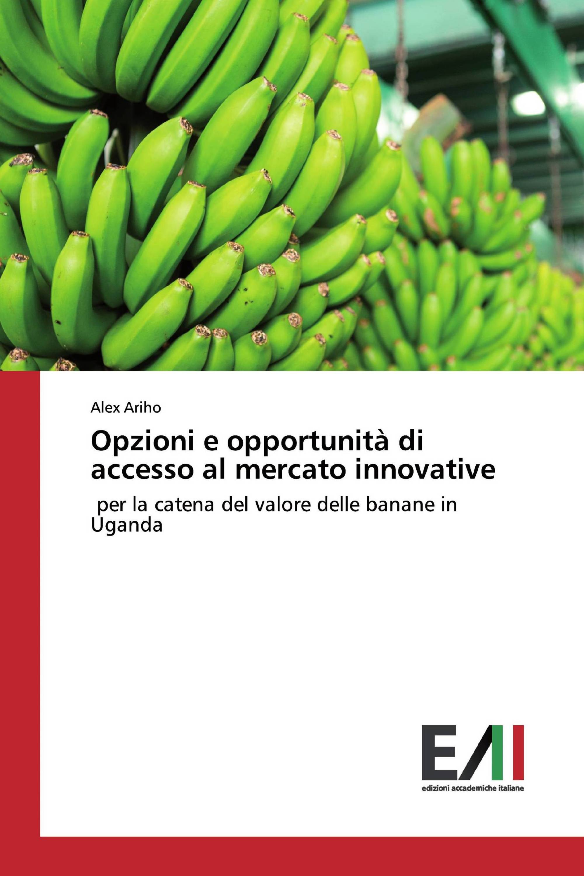 Opzioni e opportunità di accesso al mercato innovative