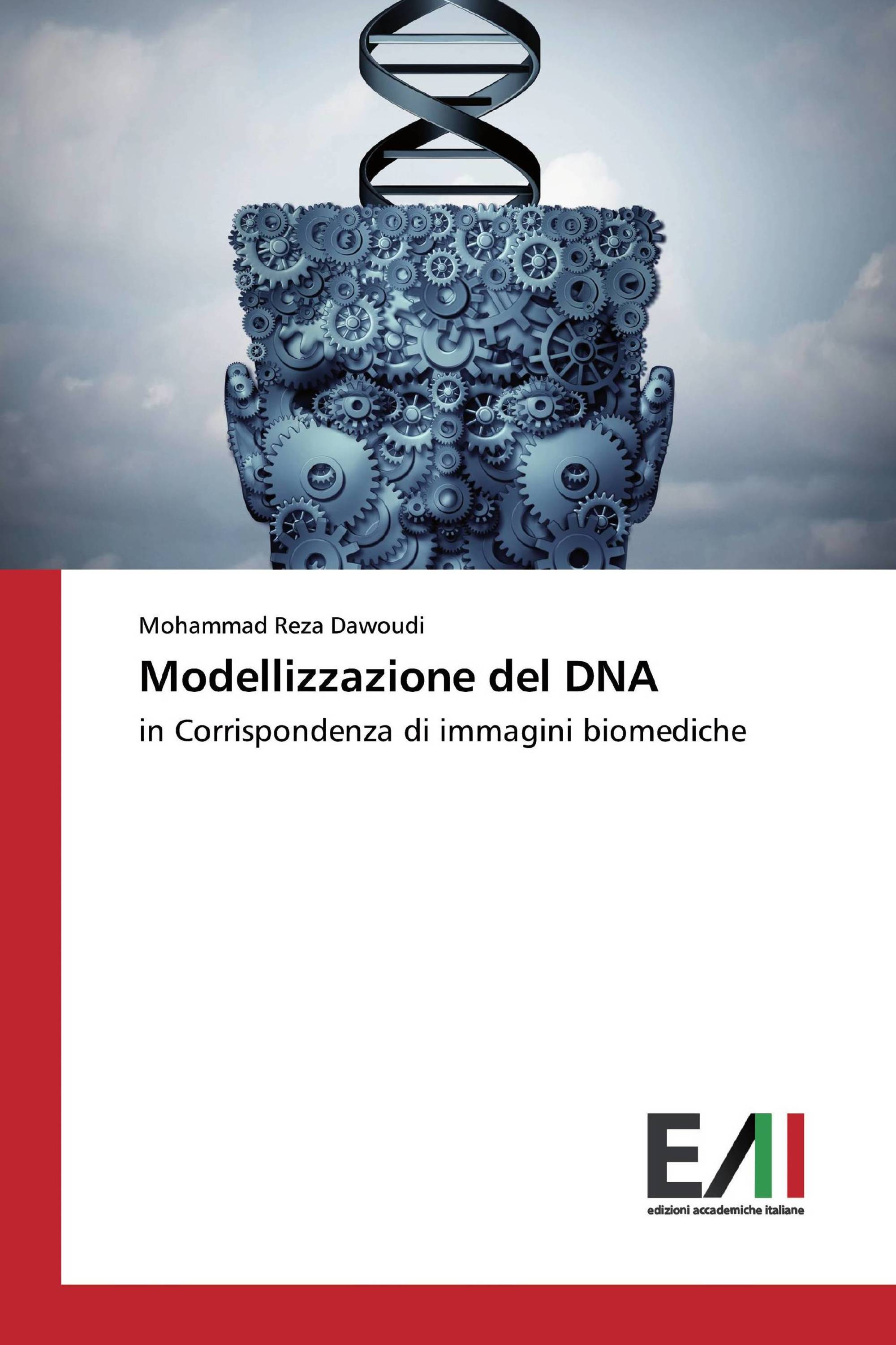 Modellizzazione del DNA