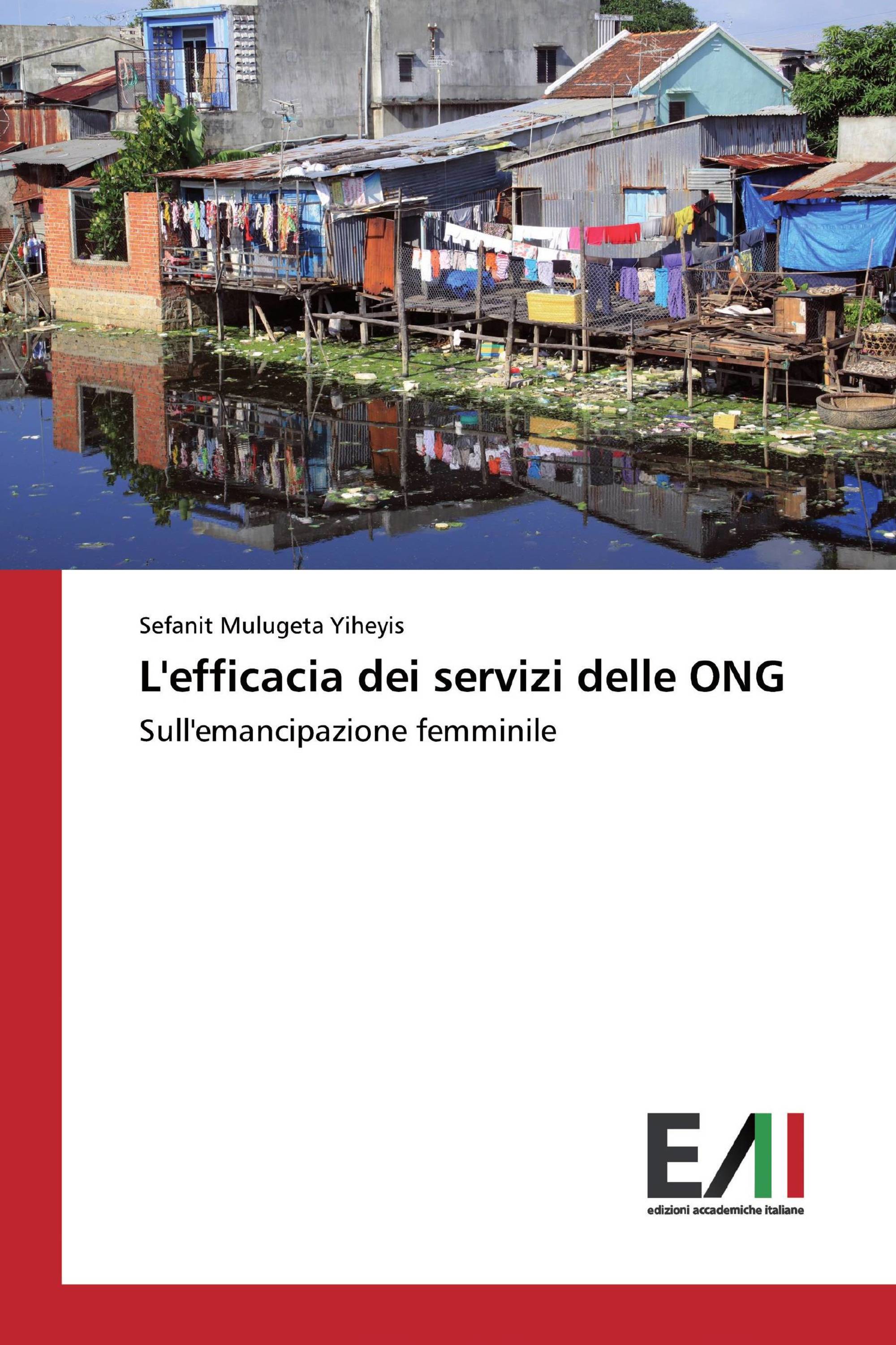 L'efficacia dei servizi delle ONG