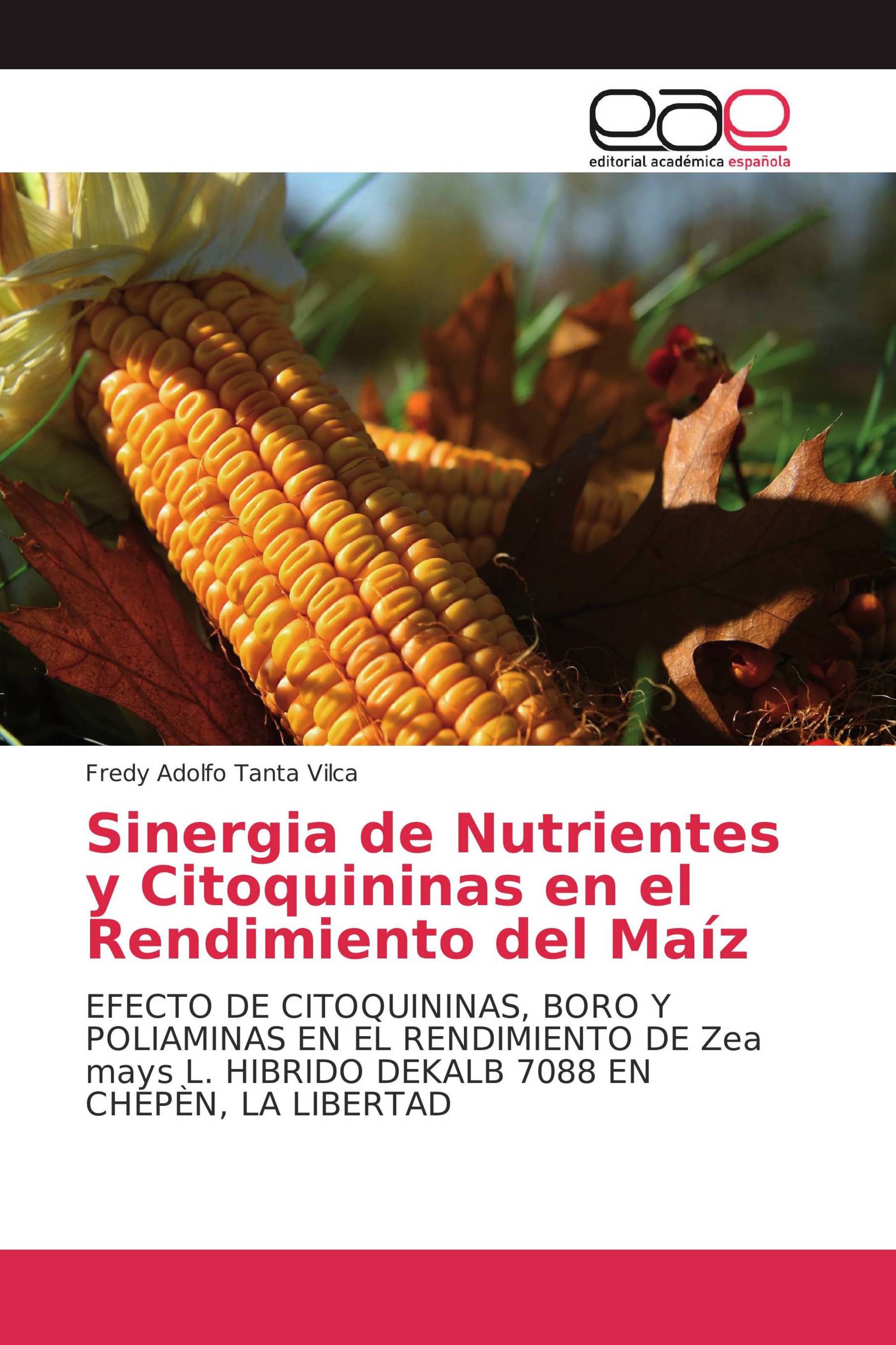 Sinergia de Nutrientes y Citoquininas en el Rendimiento del Maíz