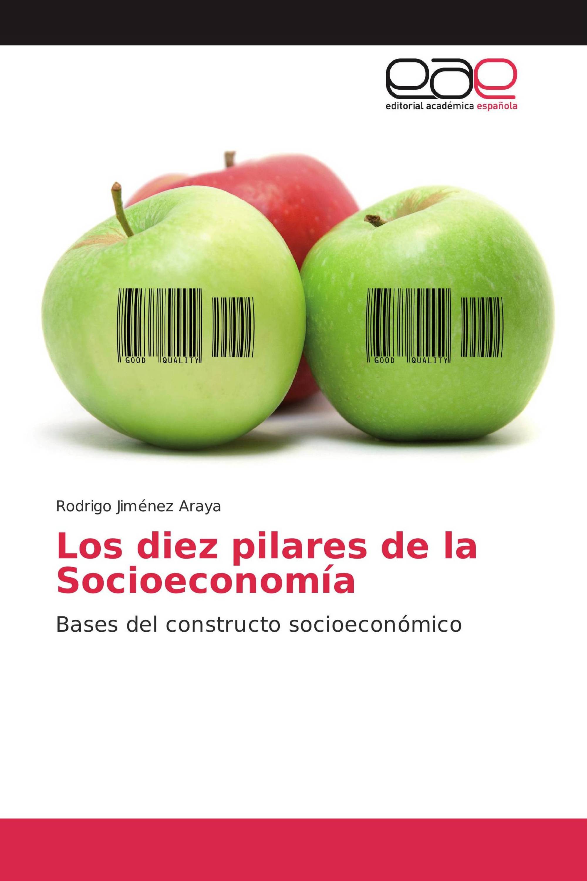 Los diez pilares de la Socioeconomía