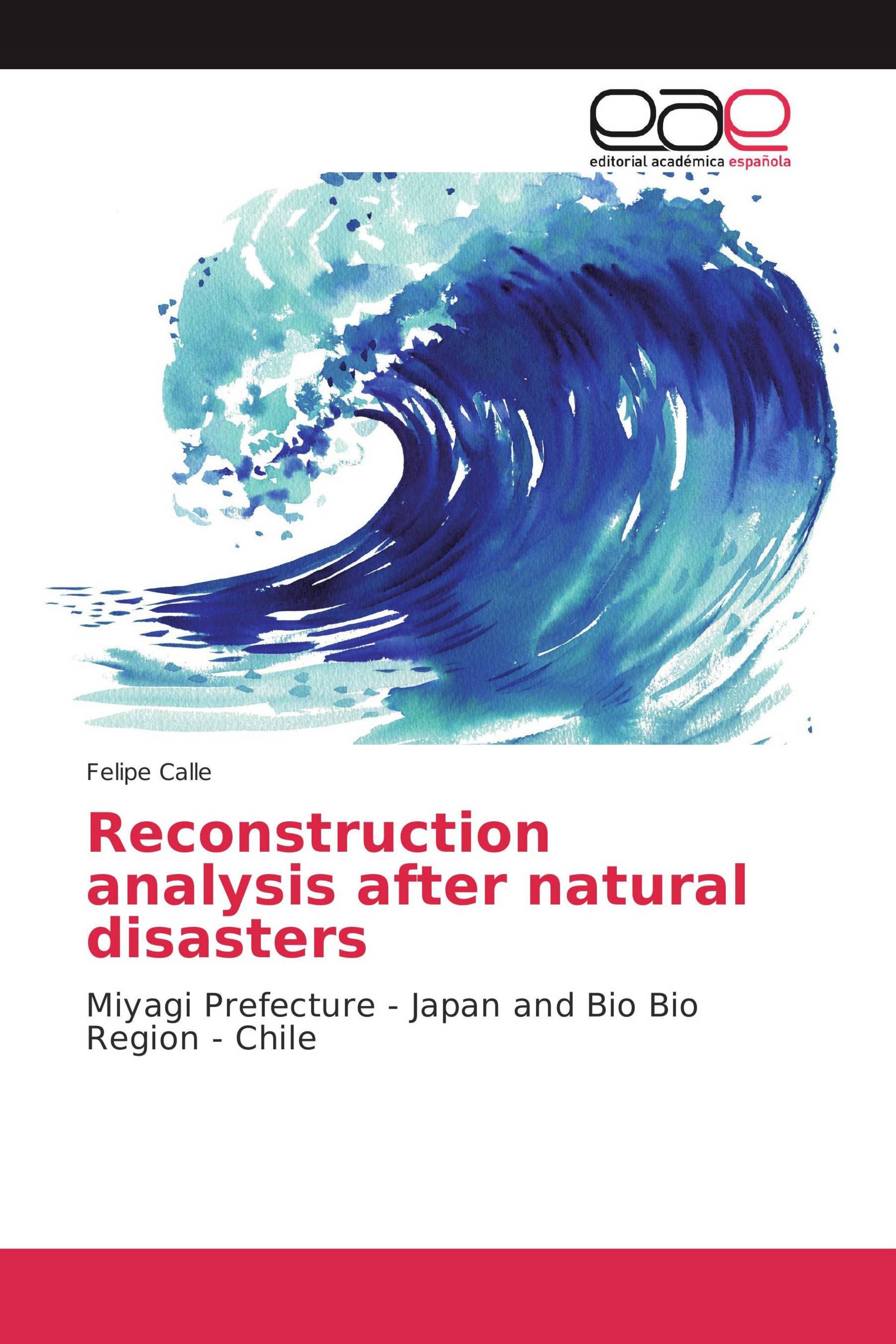 Reconstruction analysis after natural disasters