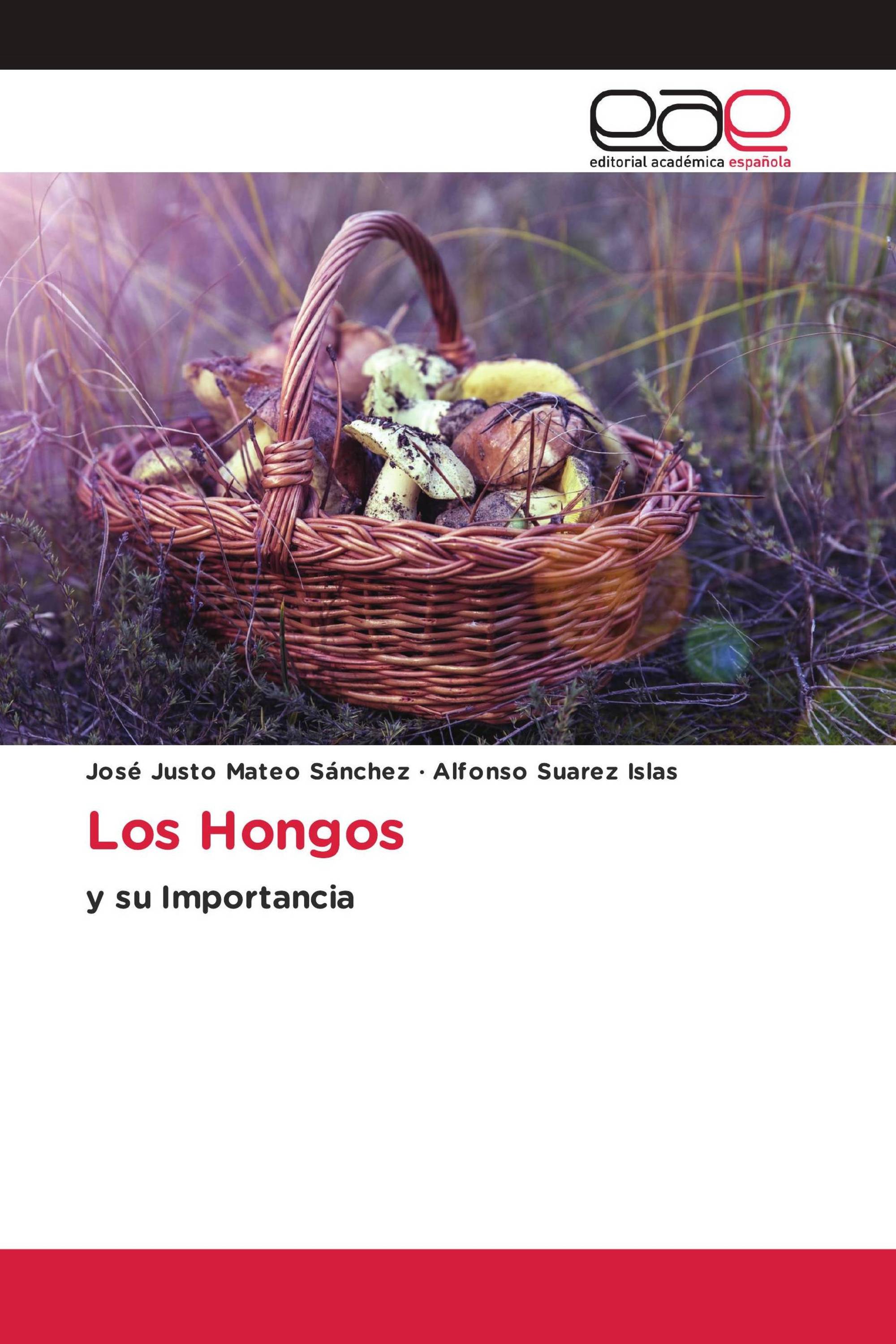 Los Hongos