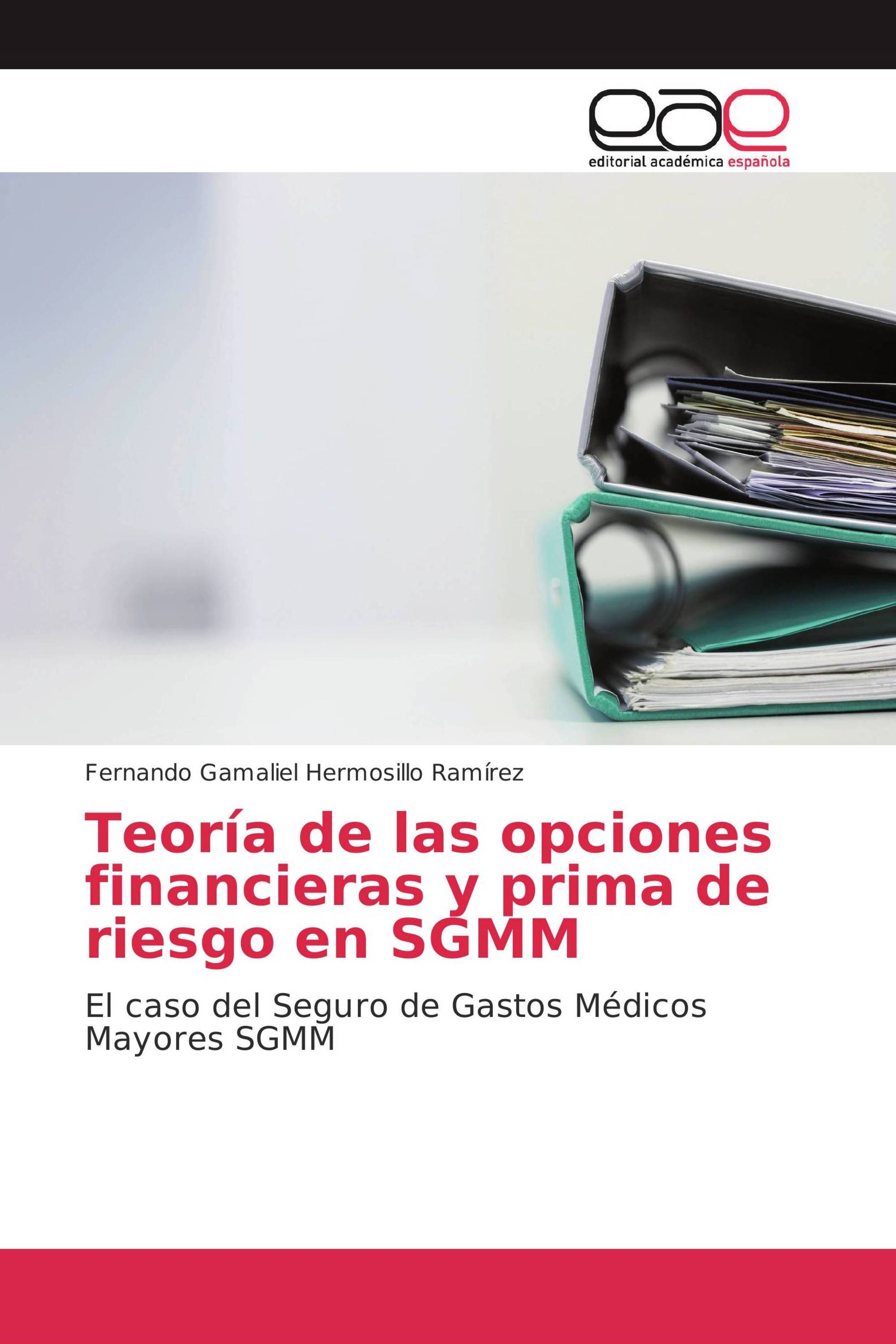 Teoría de las opciones financieras y prima de riesgo en SGMM