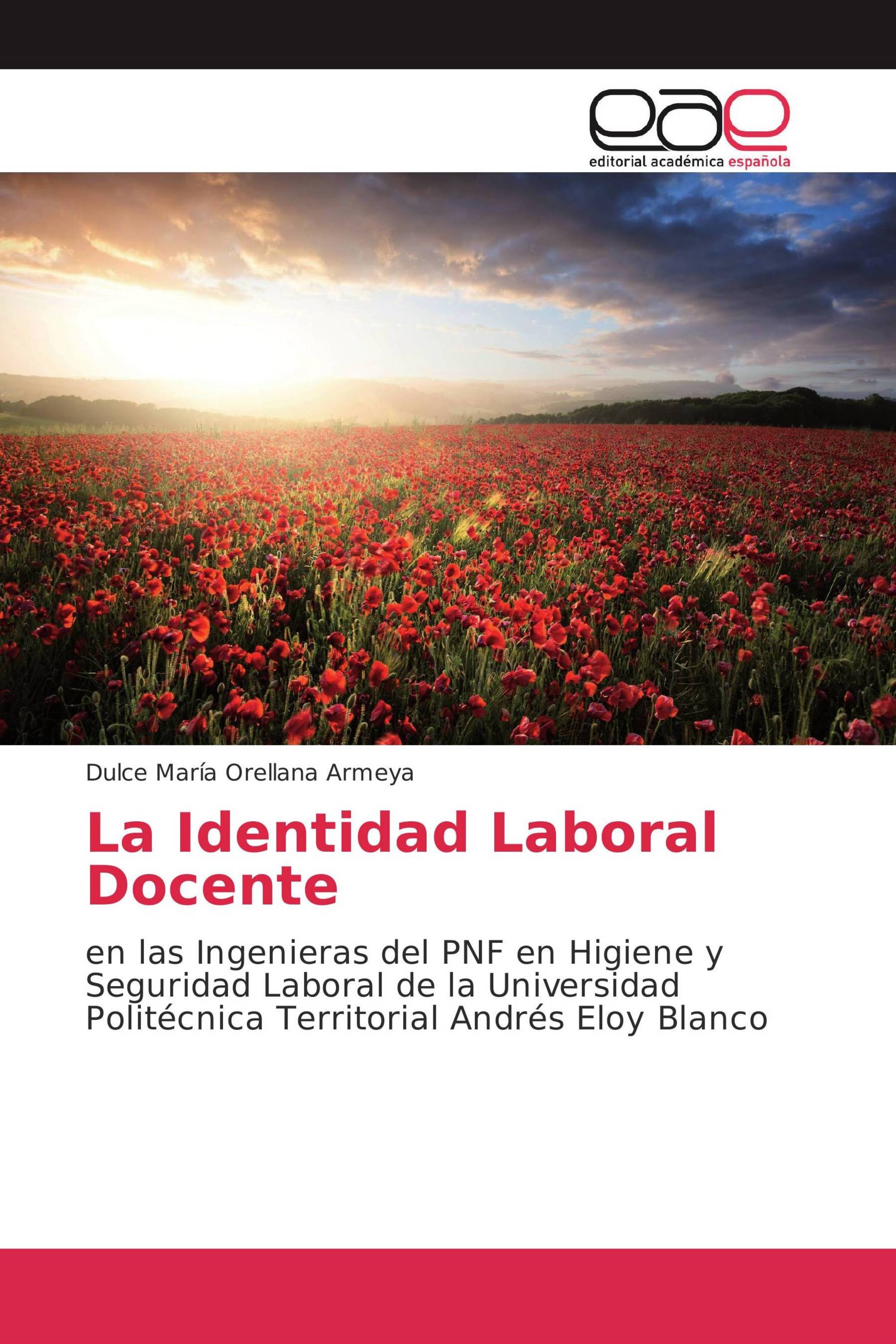 La Identidad Laboral Docente