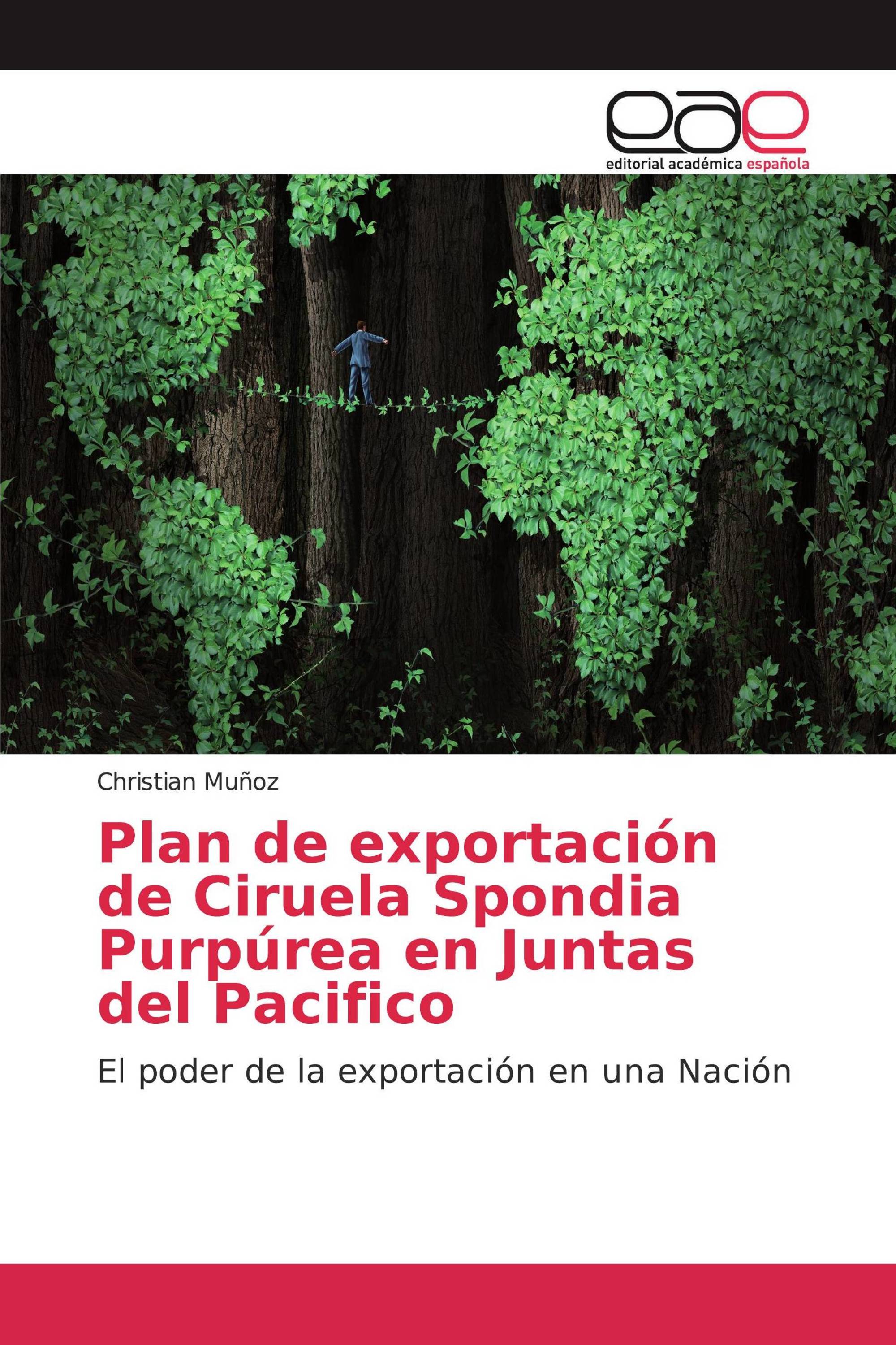 Plan de exportación de Ciruela Spondia Purpúrea en Juntas del Pacifico