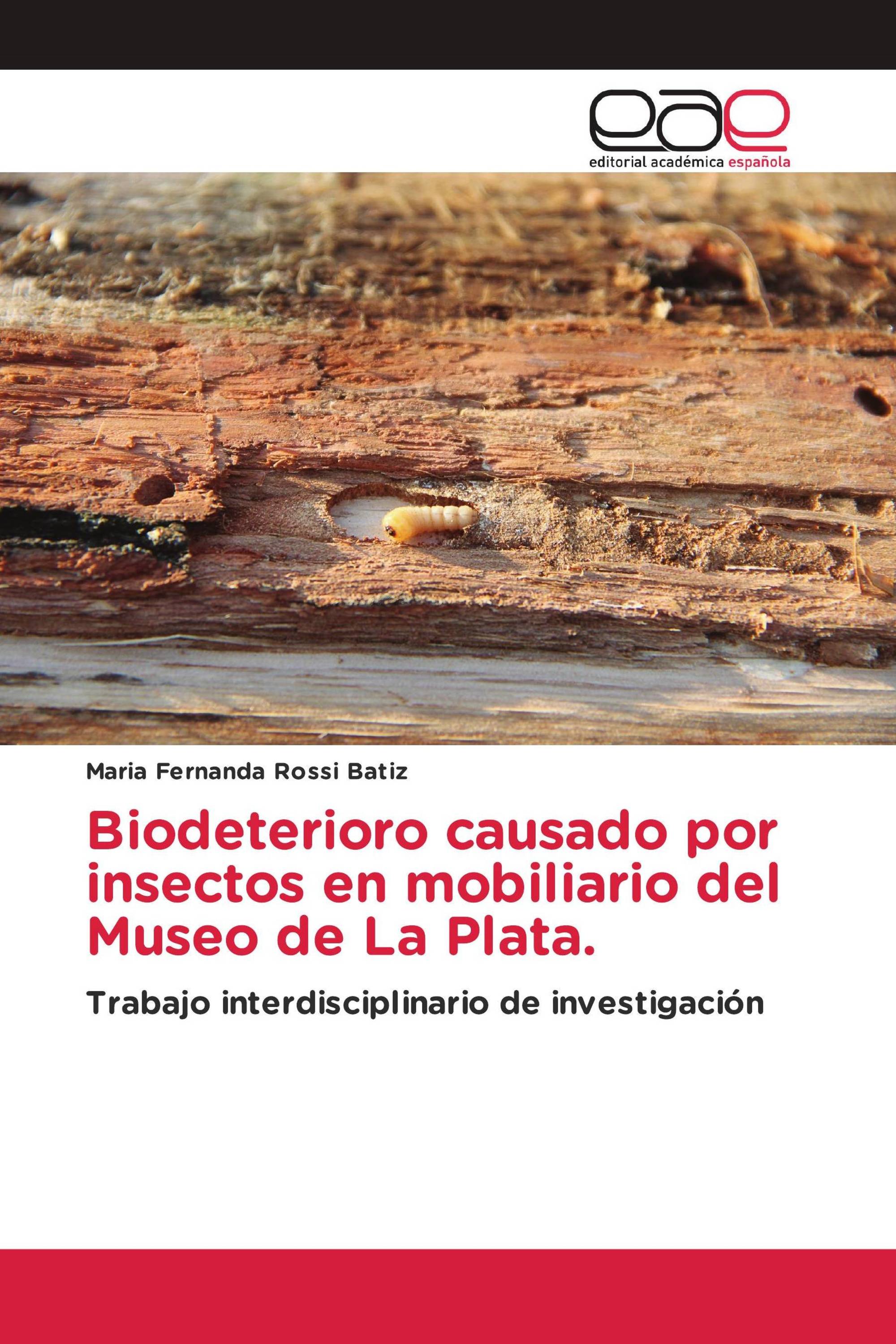 Biodeterioro causado por insectos en mobiliario del Museo de La Plata.