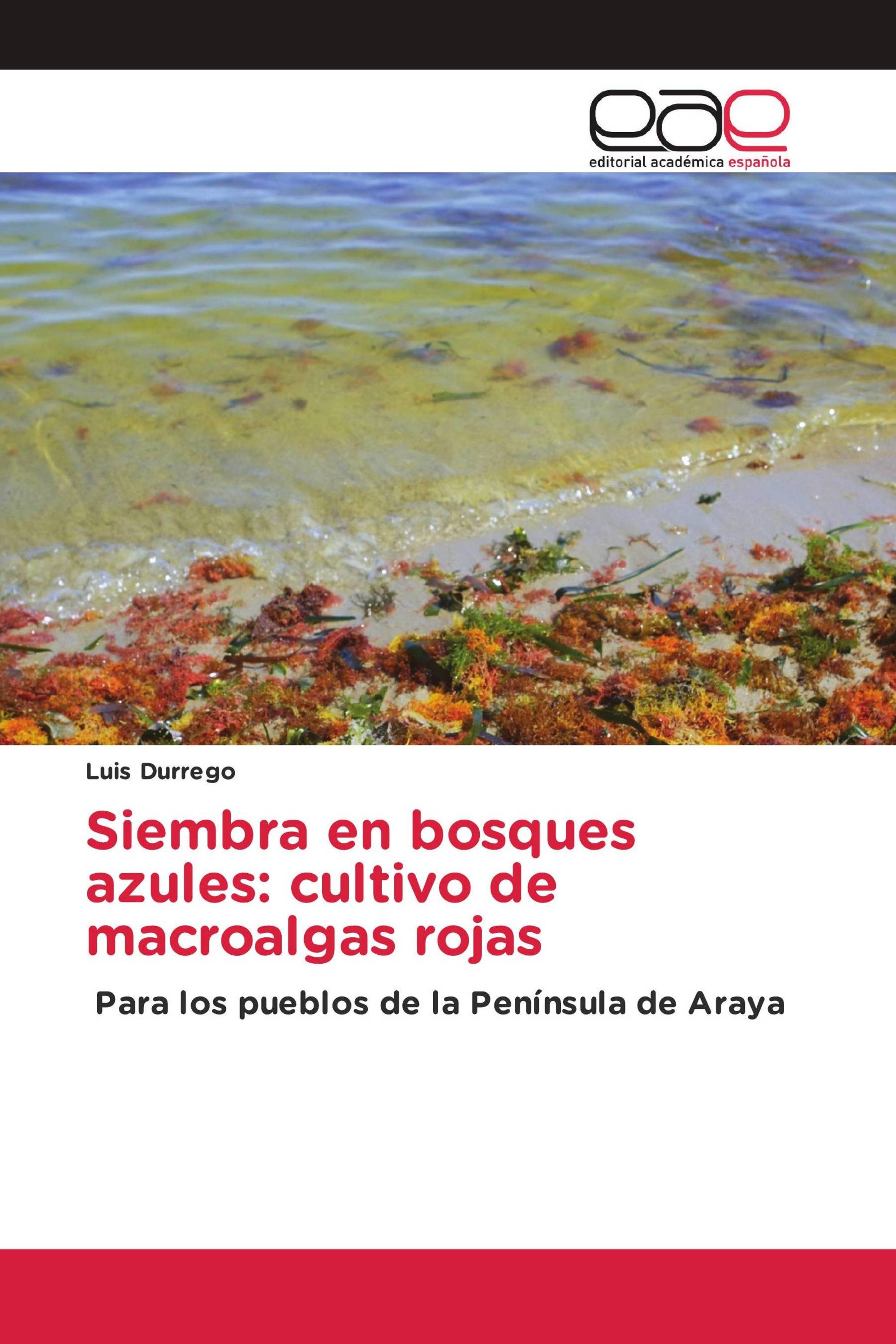 Siembra en bosques azules: cultivo de macroalgas rojas