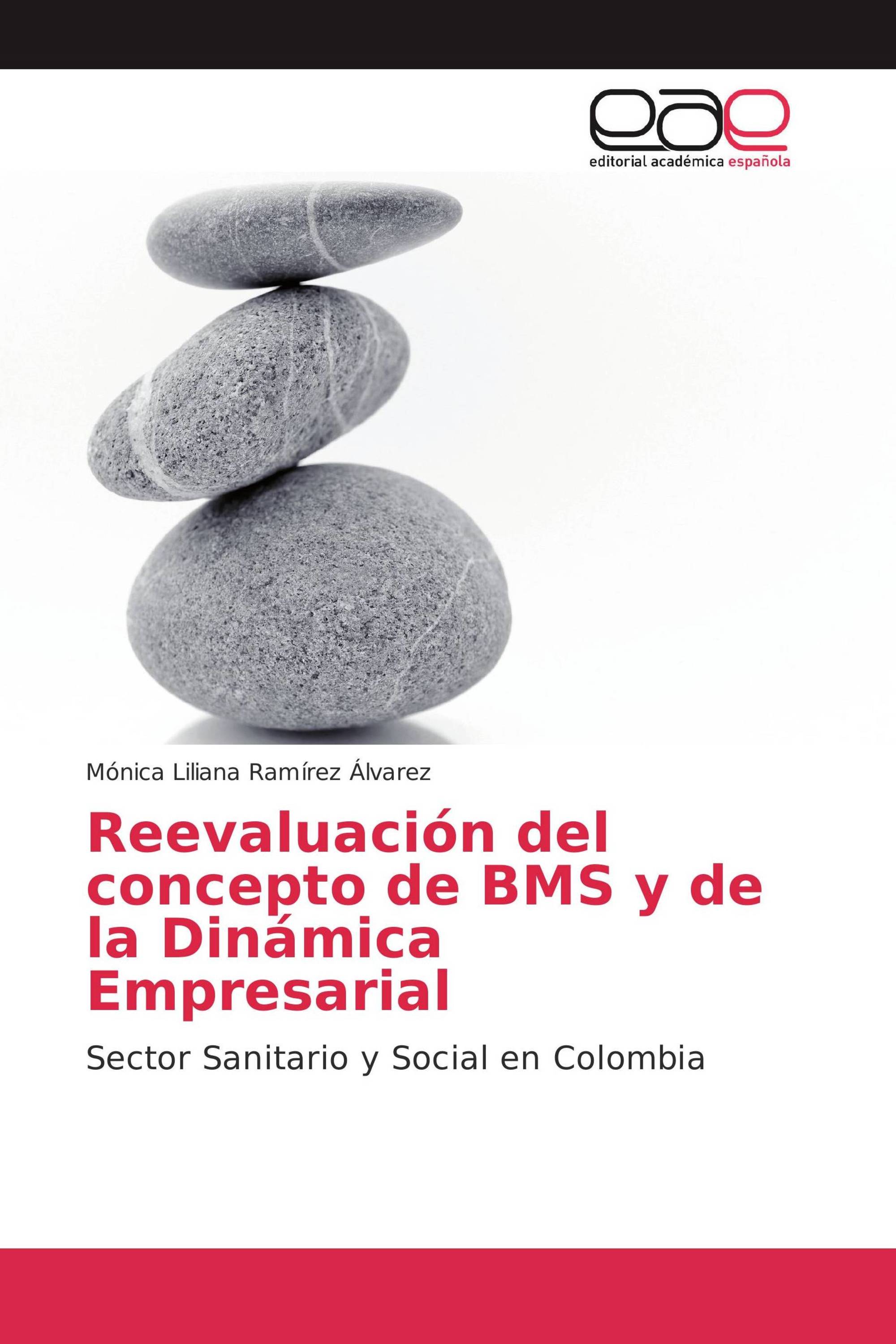 Reevaluación del concepto de BMS y de la Dinámica Empresarial