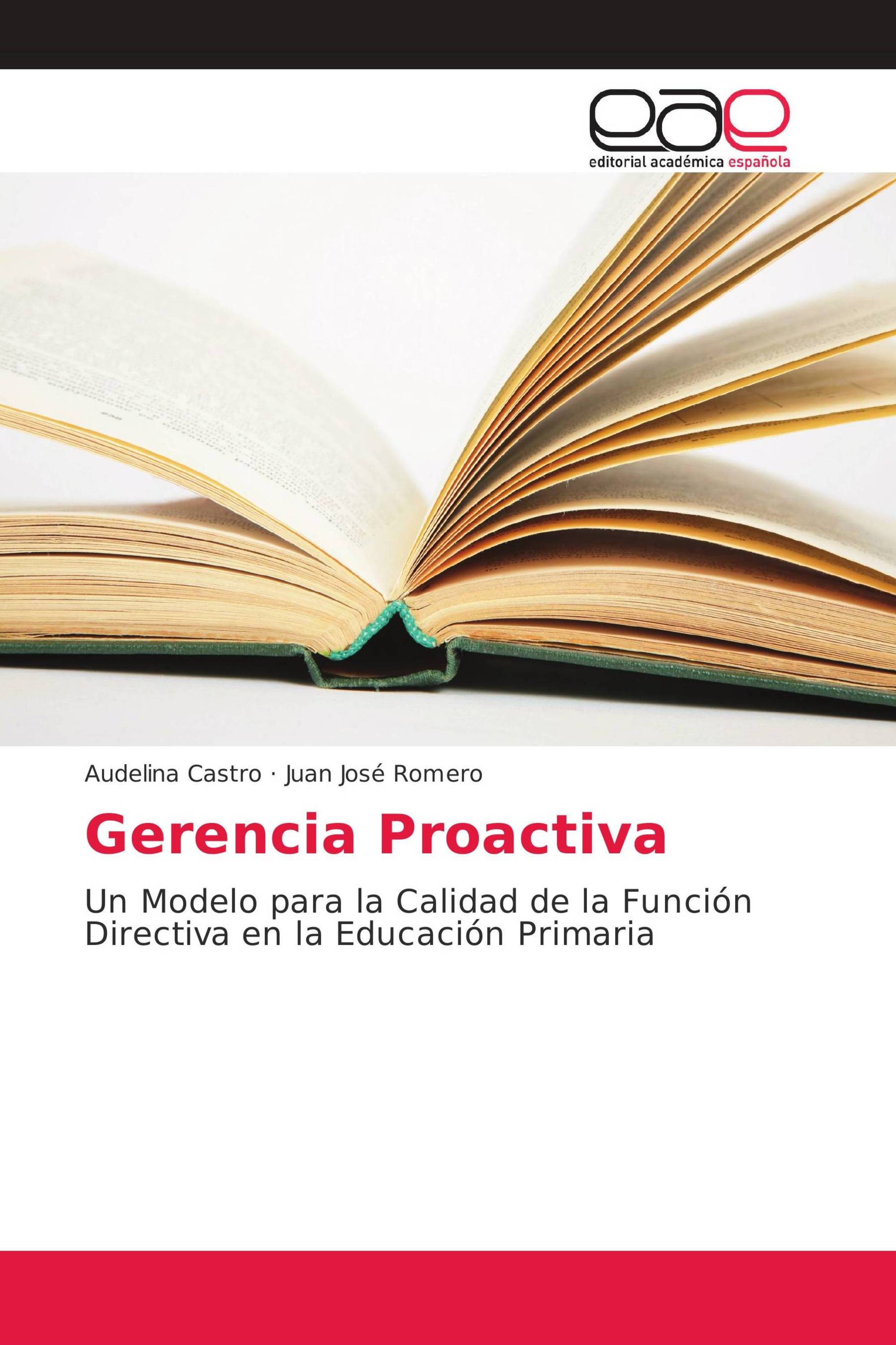 Gerencia Proactiva