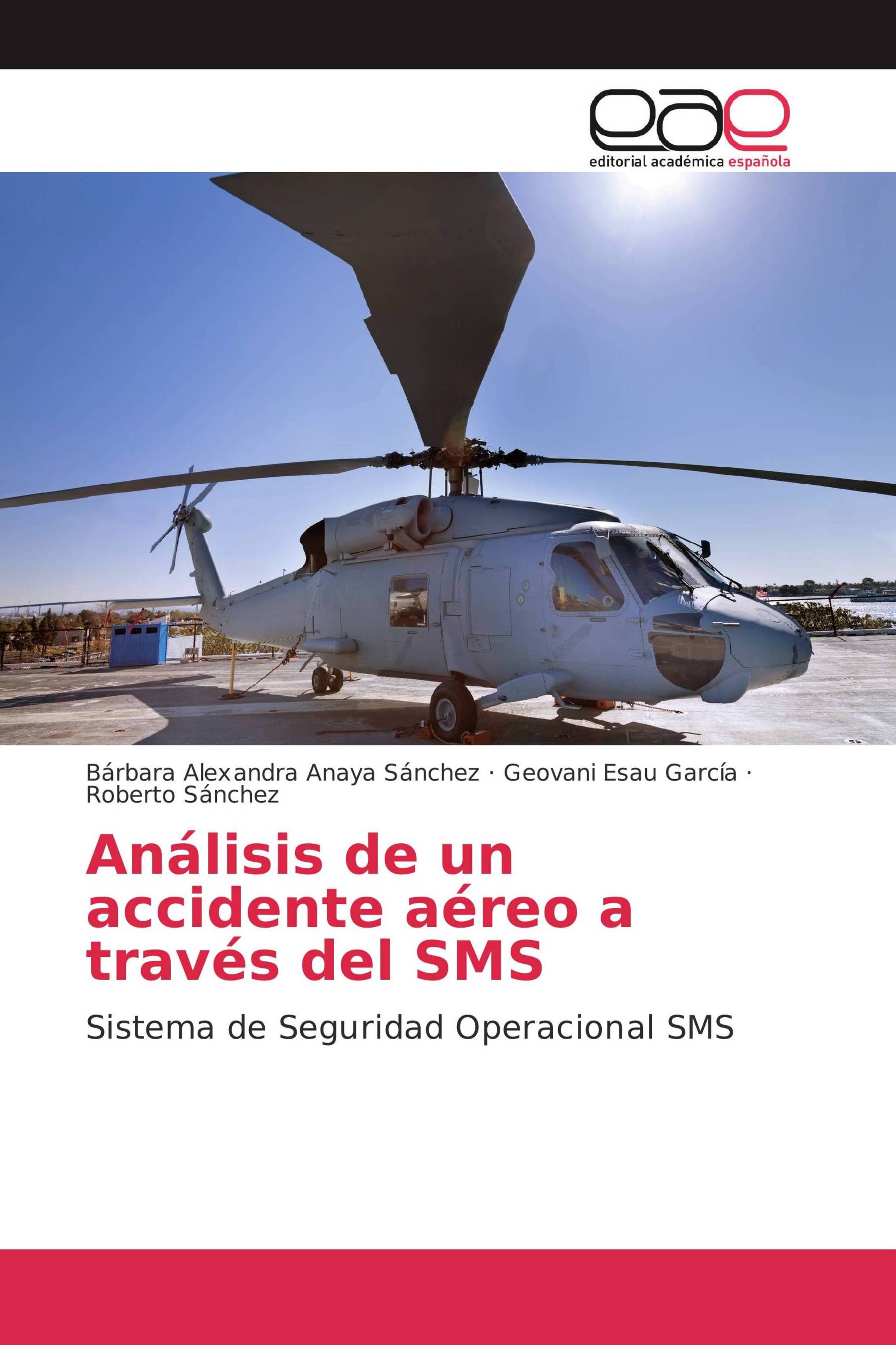 Análisis de un accidente aéreo a través del SMS