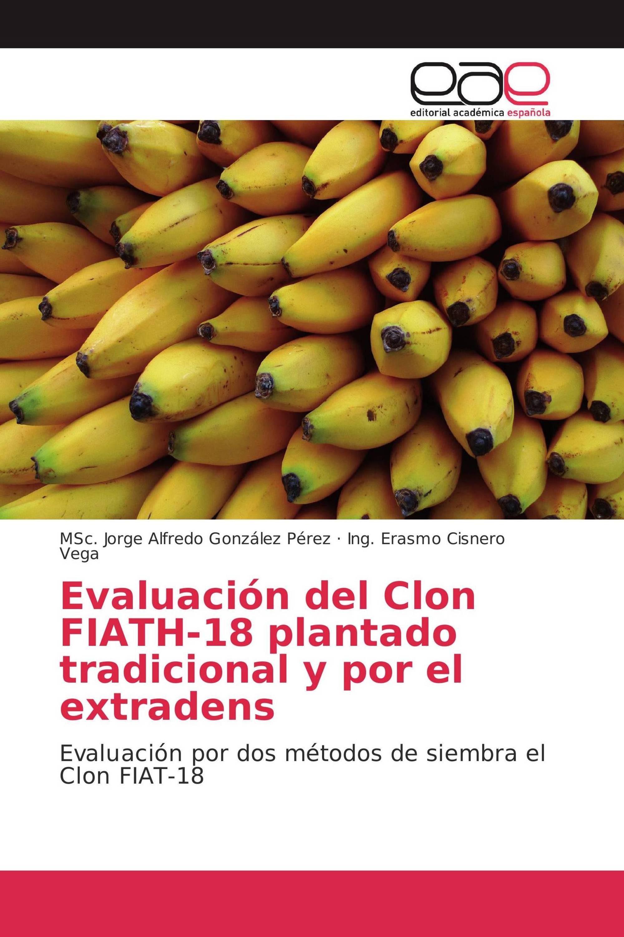 Evaluación del Clon FIATH-18 plantado tradicional y por el extradens