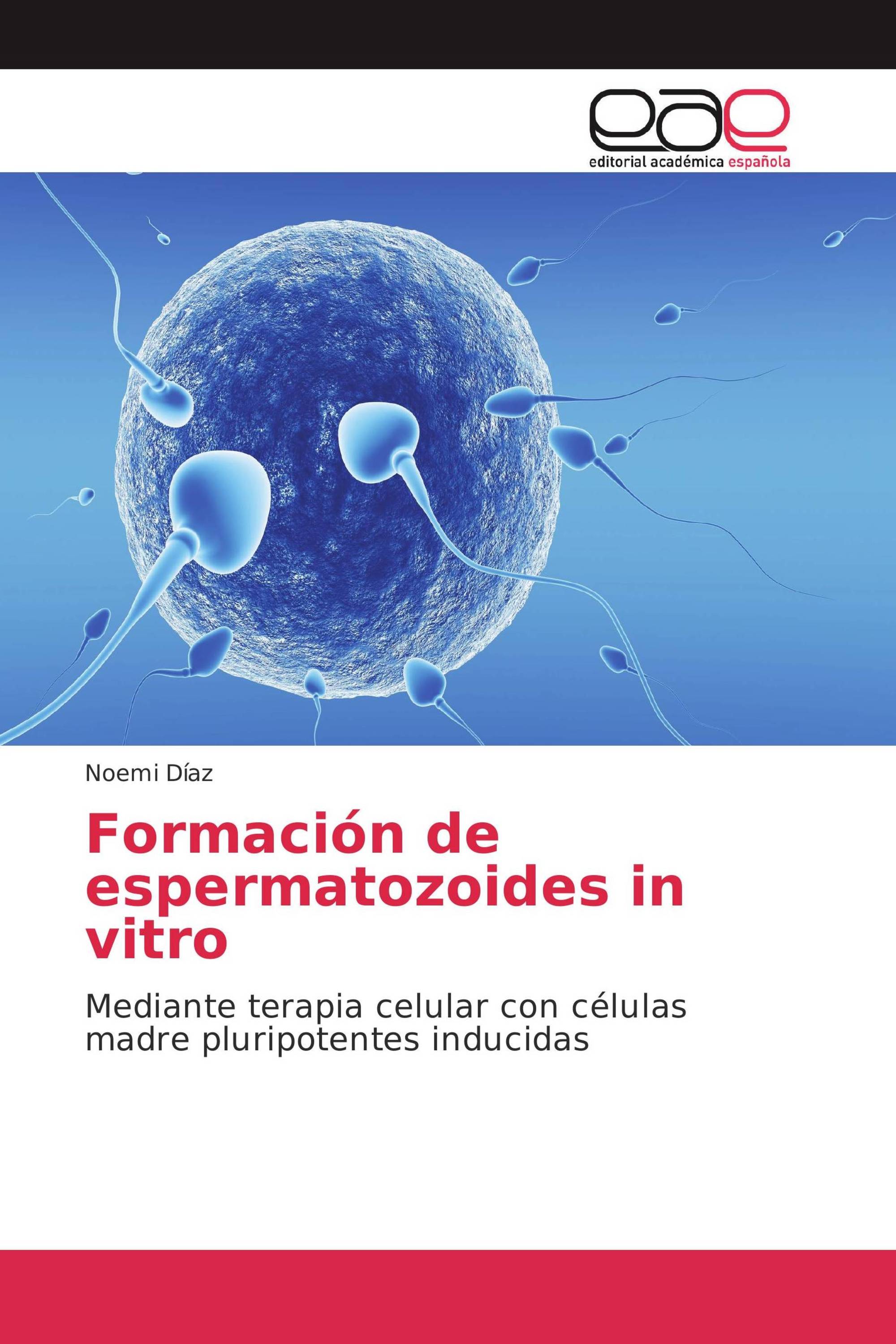 Formación de espermatozoides in vitro