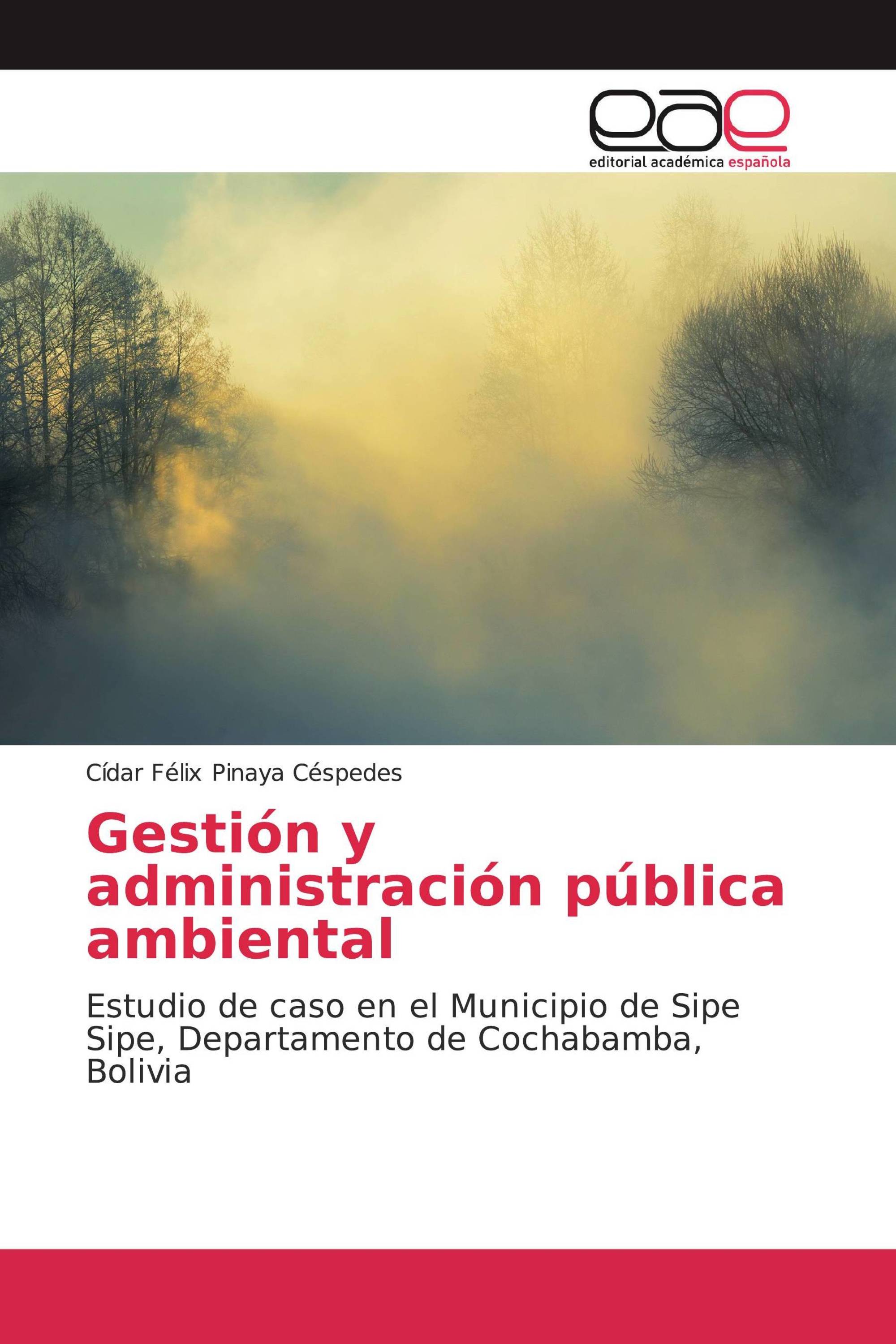 Gestión y administración pública ambiental