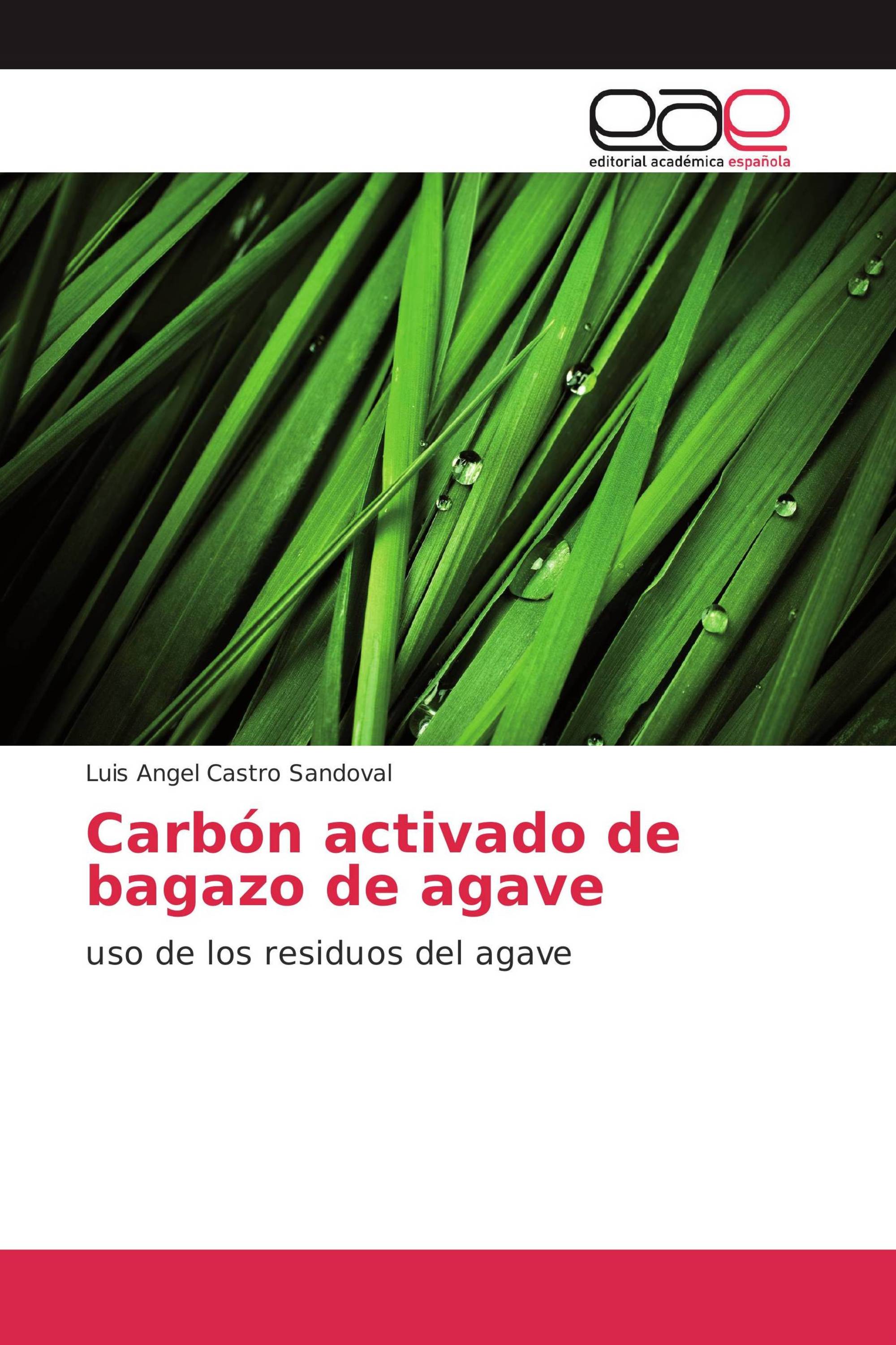 Carbón activado de bagazo de agave