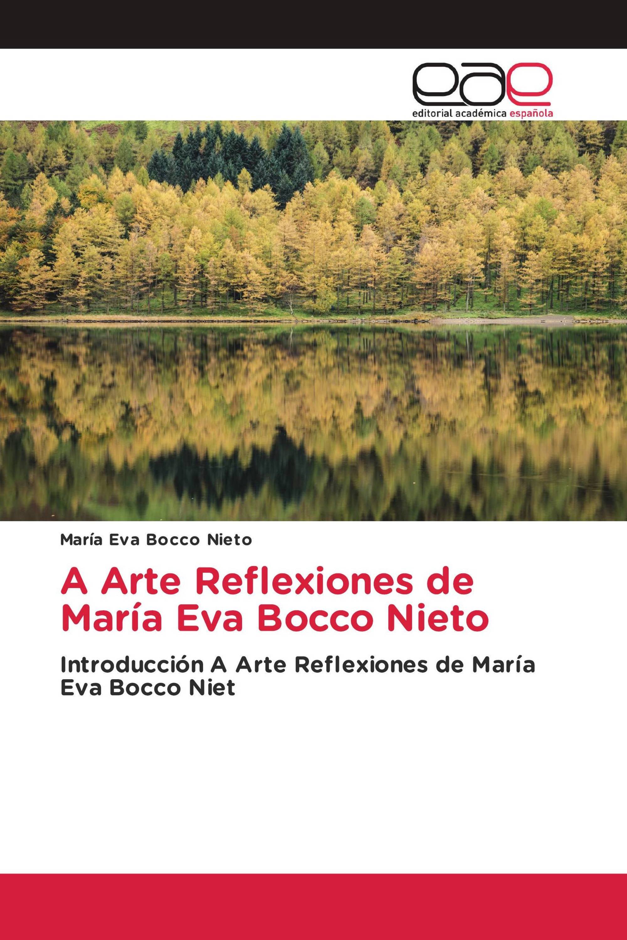 A Arte Reflexiones de María Eva Bocco Nieto