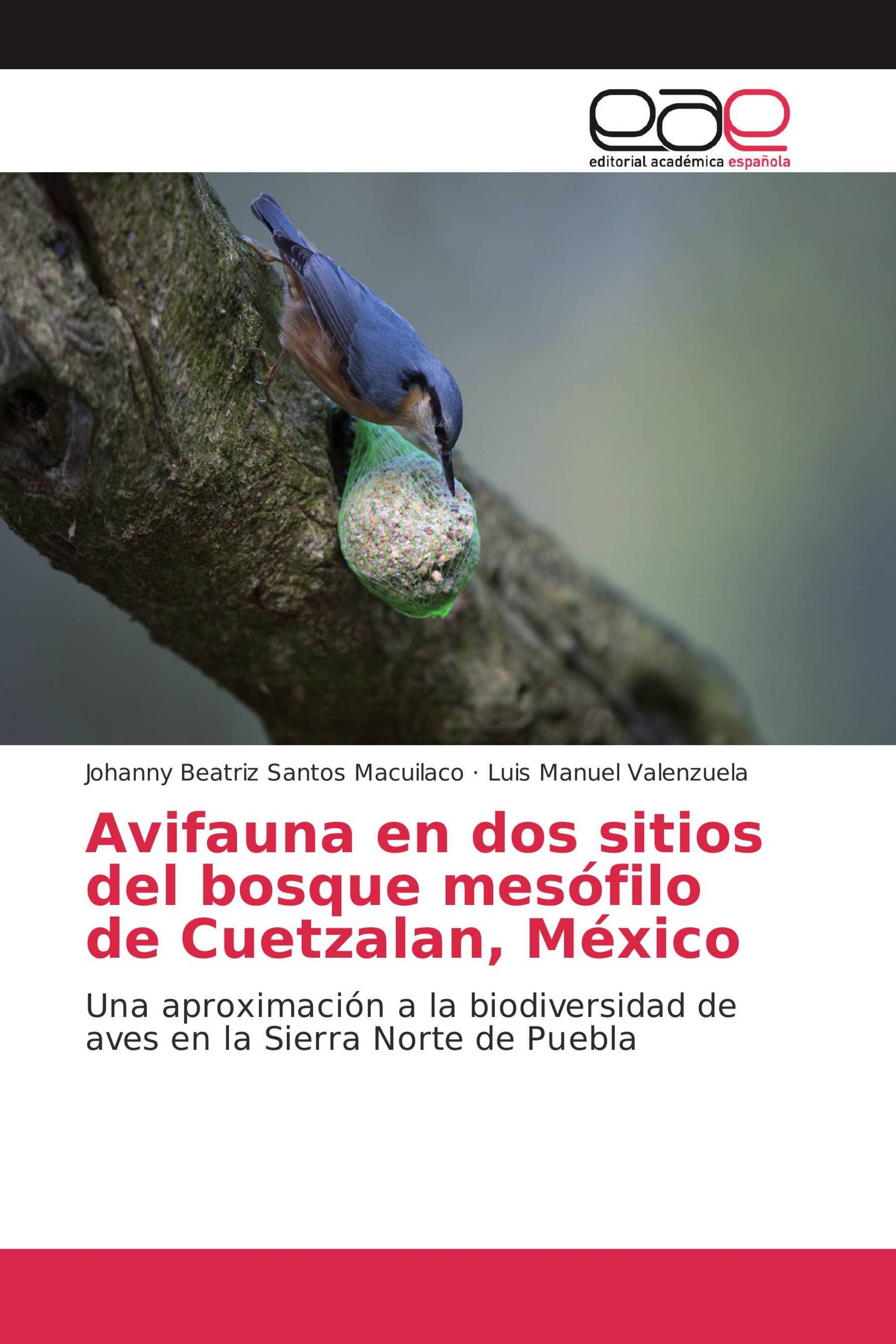 Avifauna en dos sitios del bosque mesófilo de Cuetzalan, México