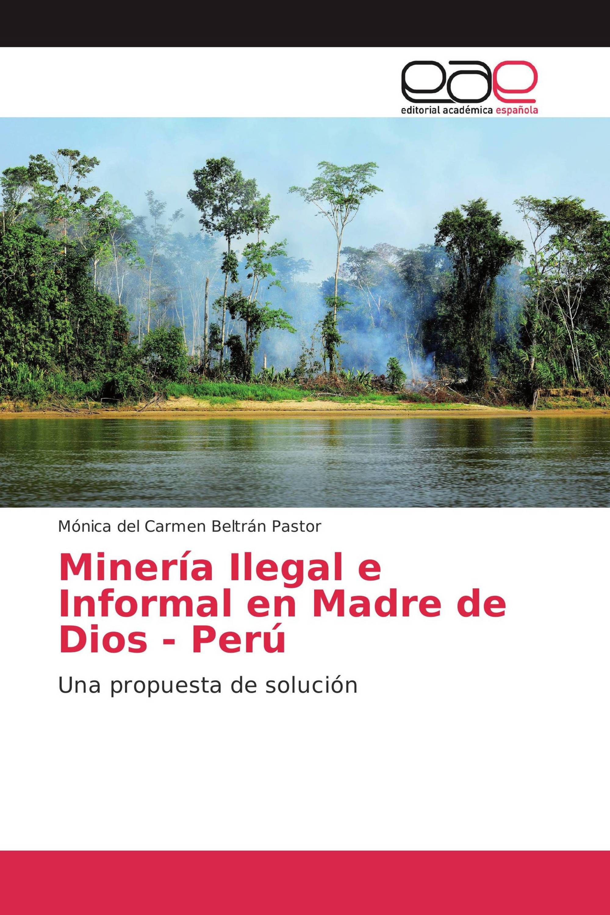 Minería Ilegal e Informal en Madre de Dios - Perú