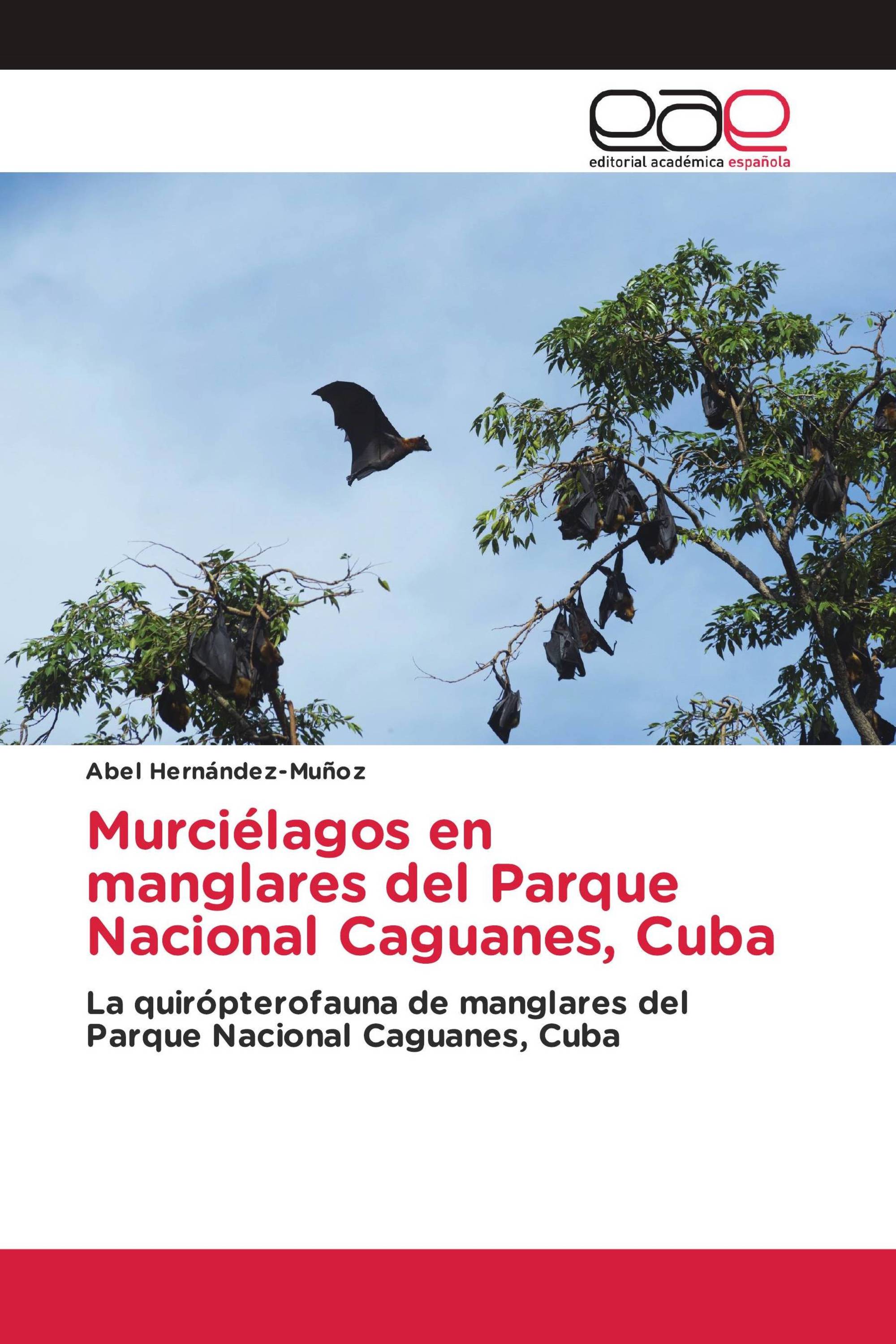 Murciélagos en manglares del Parque Nacional Caguanes, Cuba