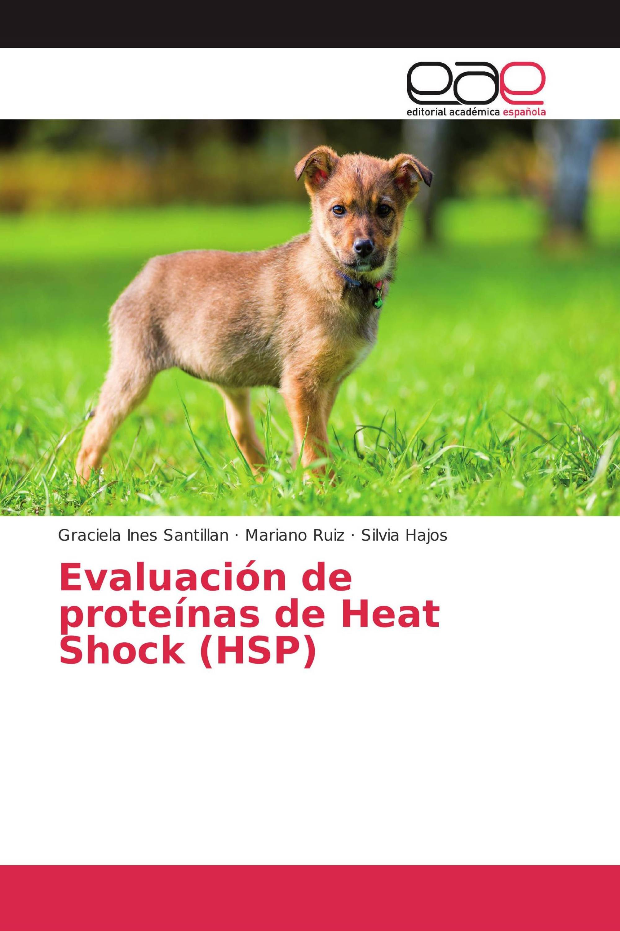 Evaluación de proteínas de Heat Shock (HSP)