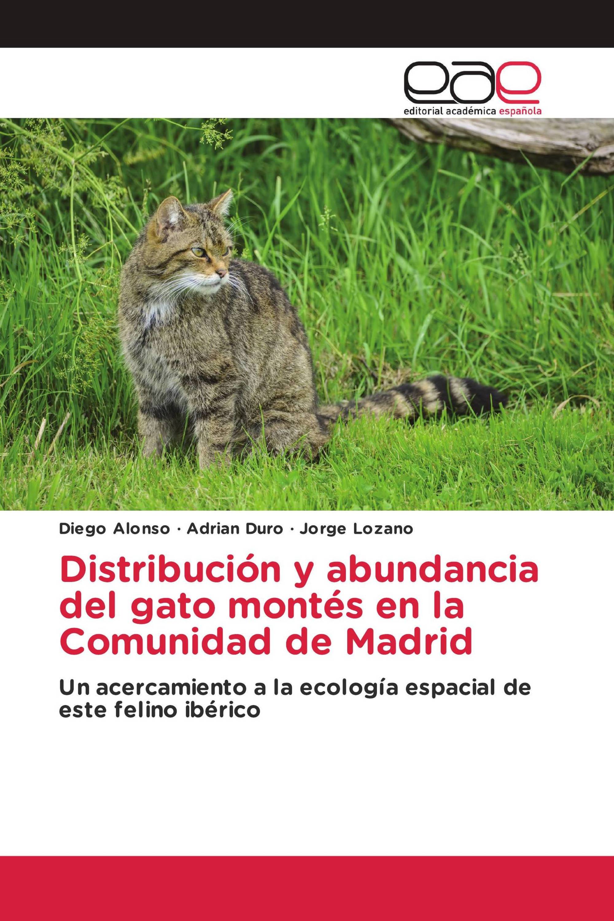 Distribución y abundancia del gato montés en la Comunidad de Madrid