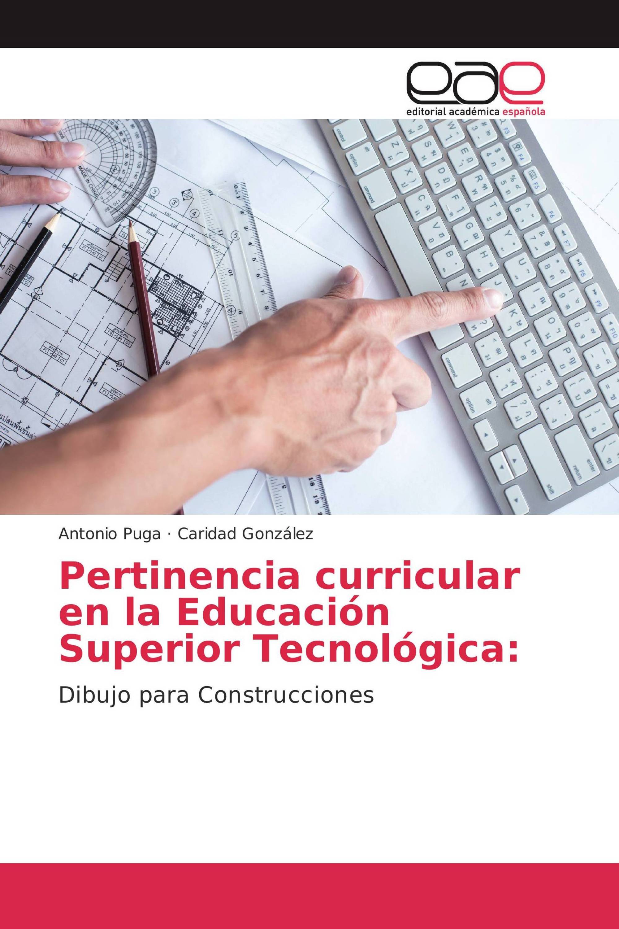 Pertinencia curricular en la Educación Superior Tecnológica: