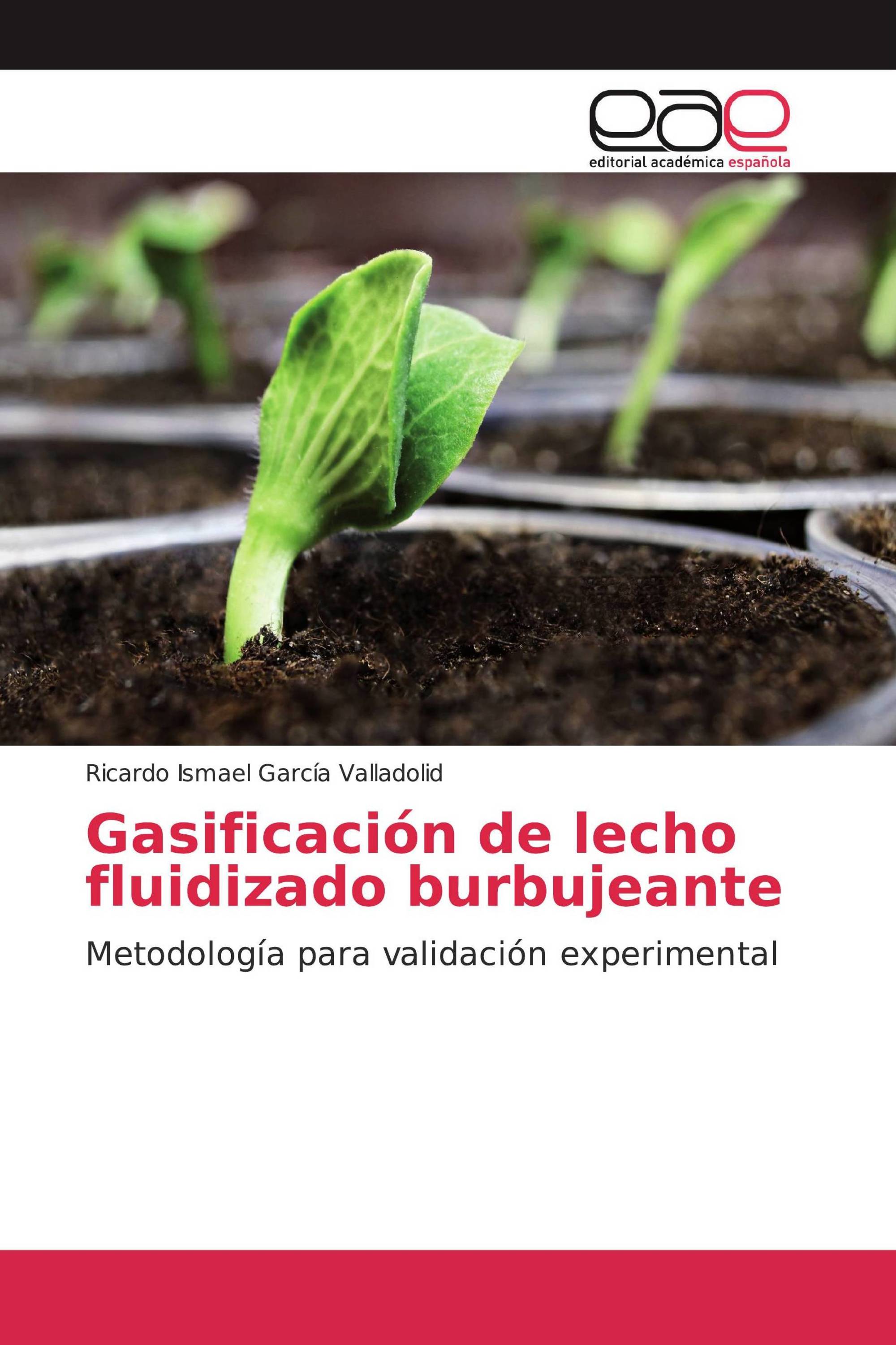 Gasificación de lecho fluidizado burbujeante