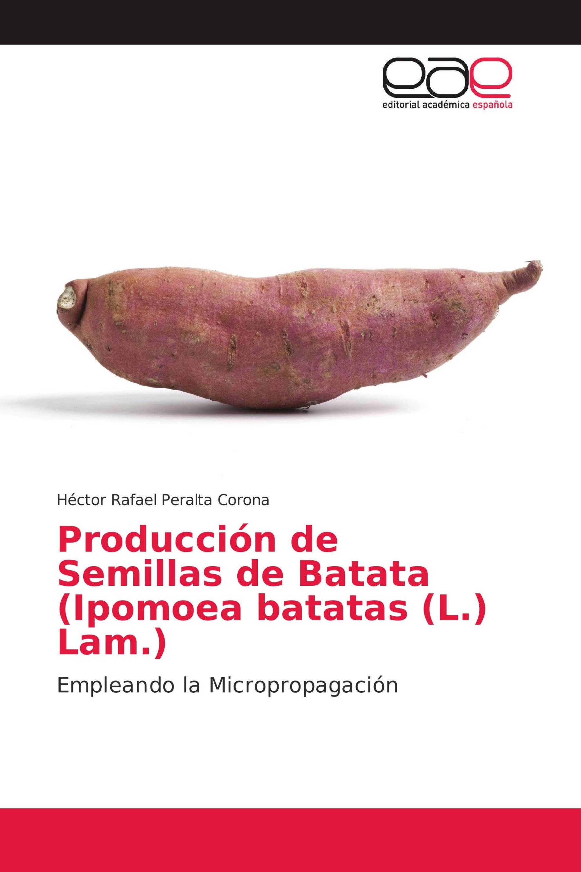 Producción de Semillas de Batata (Ipomoea batatas (L.) Lam.)