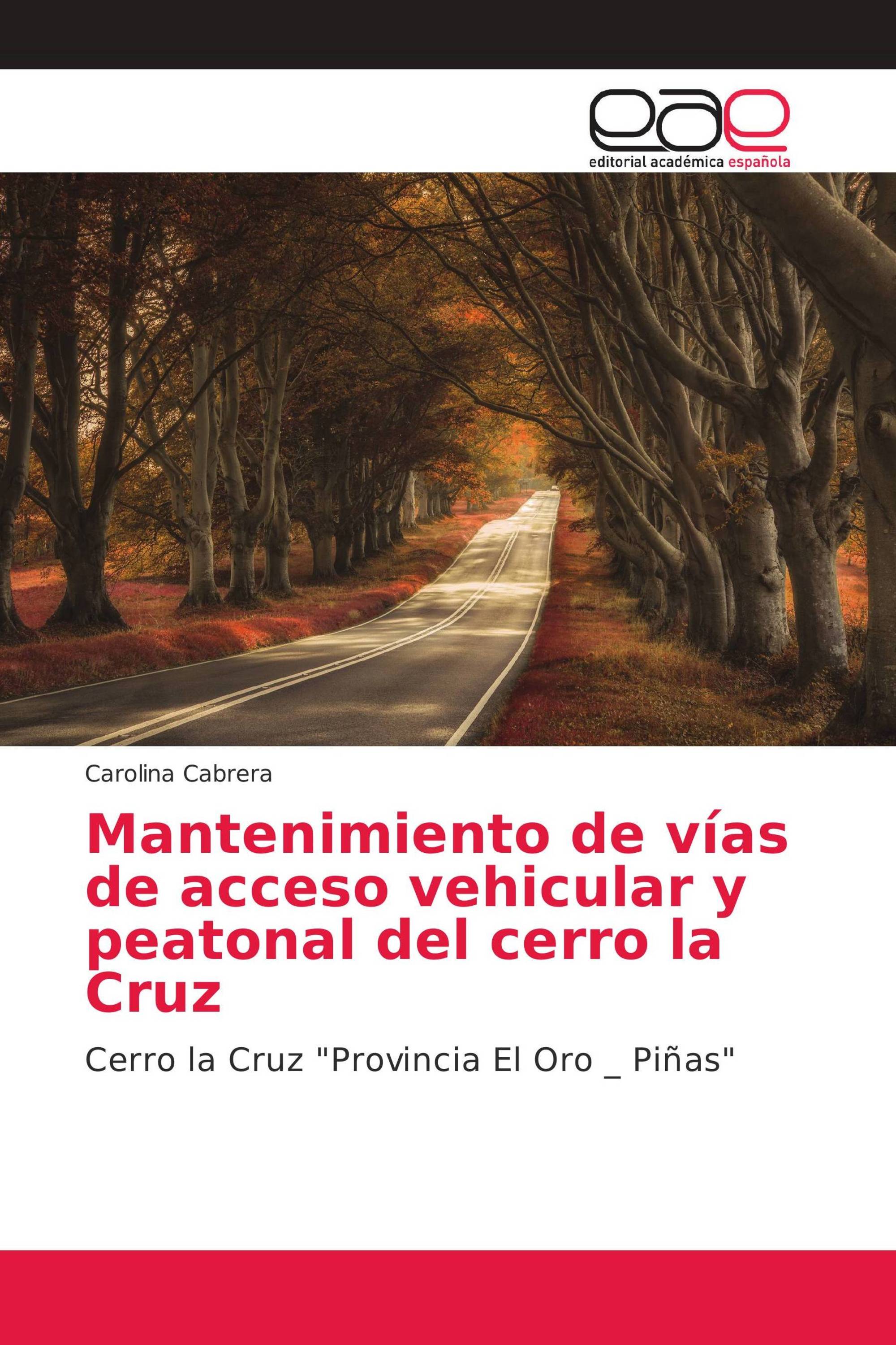 Mantenimiento de vías de acceso vehicular y peatonal del cerro la Cruz