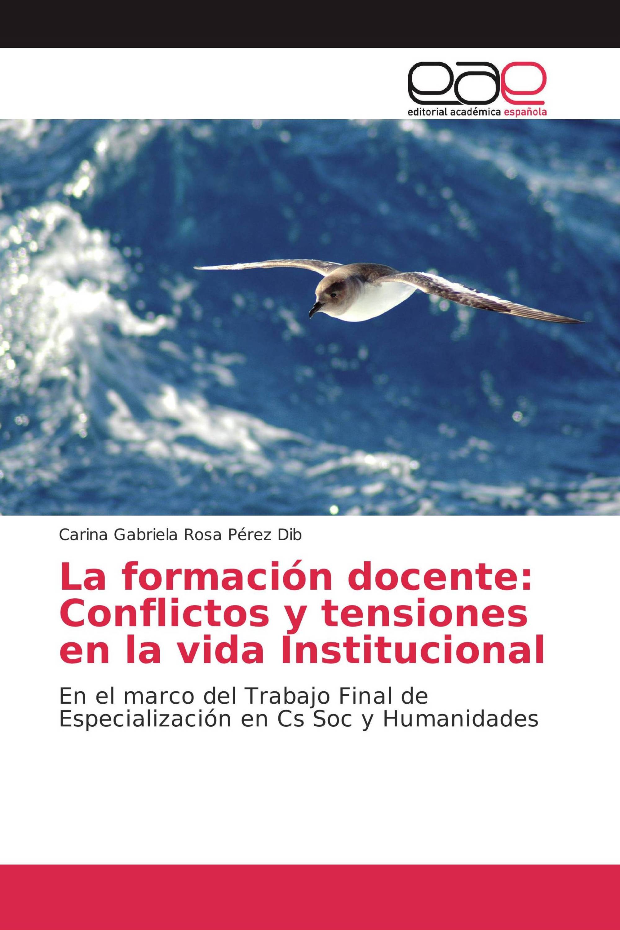 La formación docente: Conflictos y tensiones en la vida Institucional