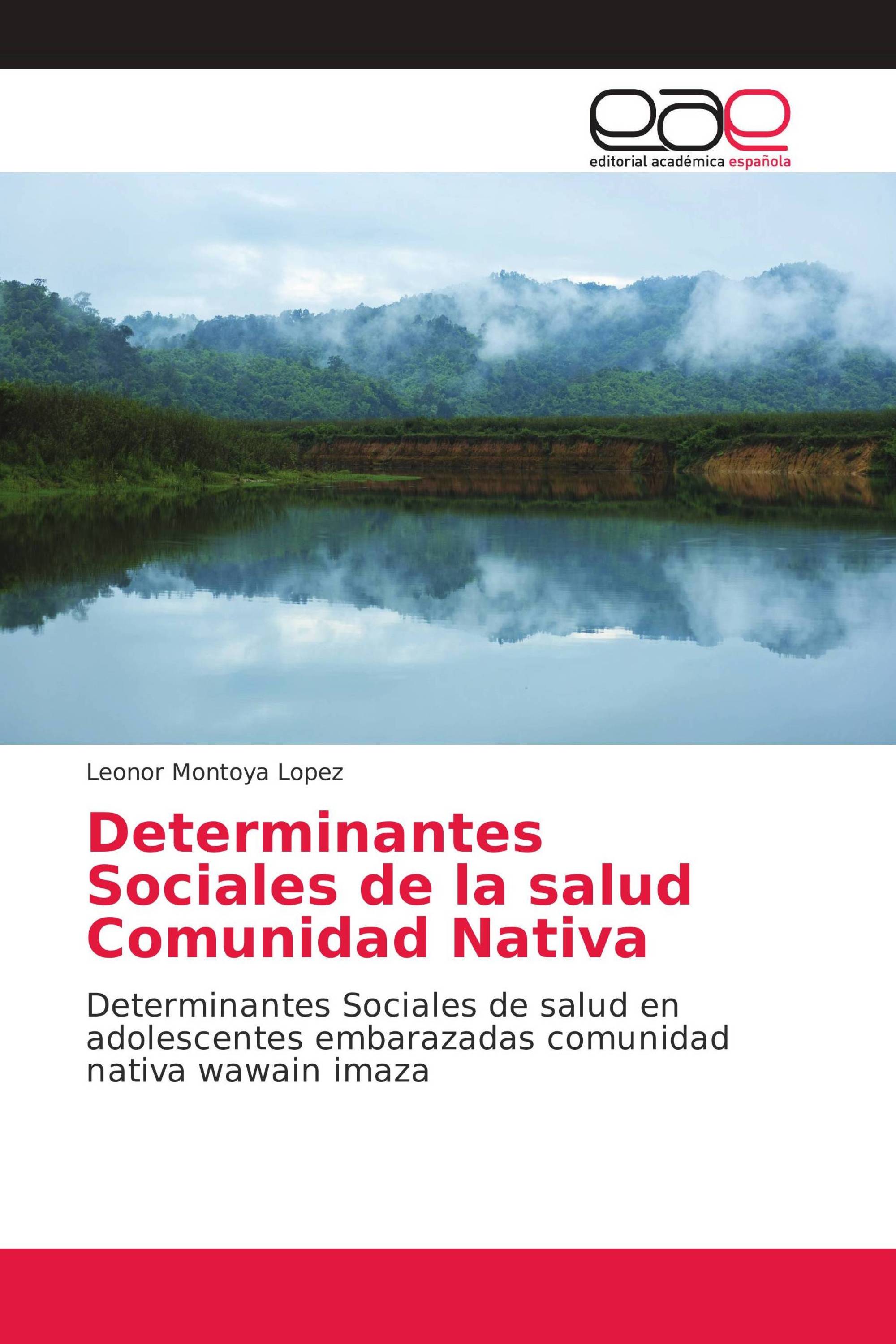 Determinantes Sociales de la salud Comunidad Nativa