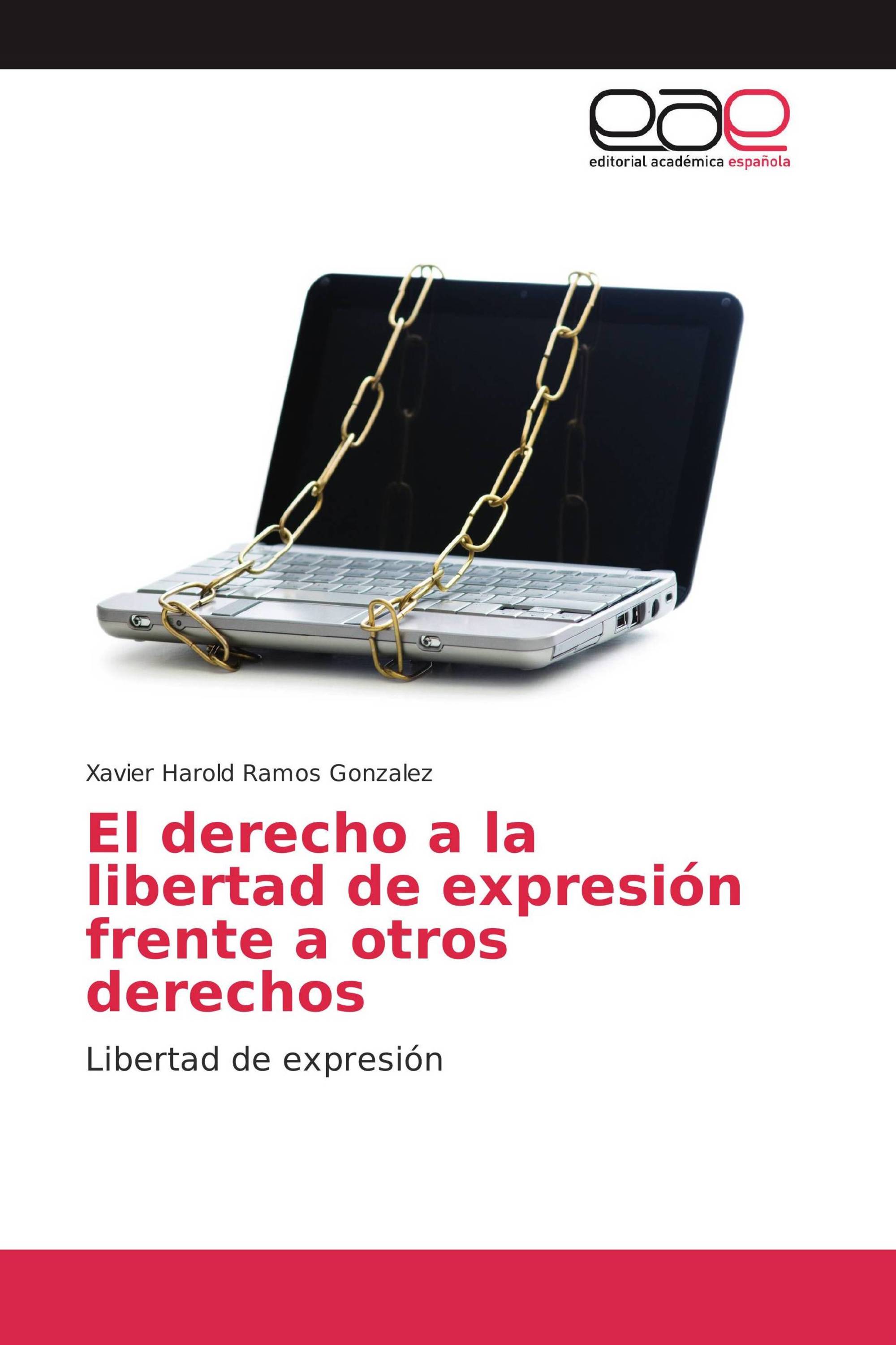 El derecho a la libertad de expresión frente a otros derechos