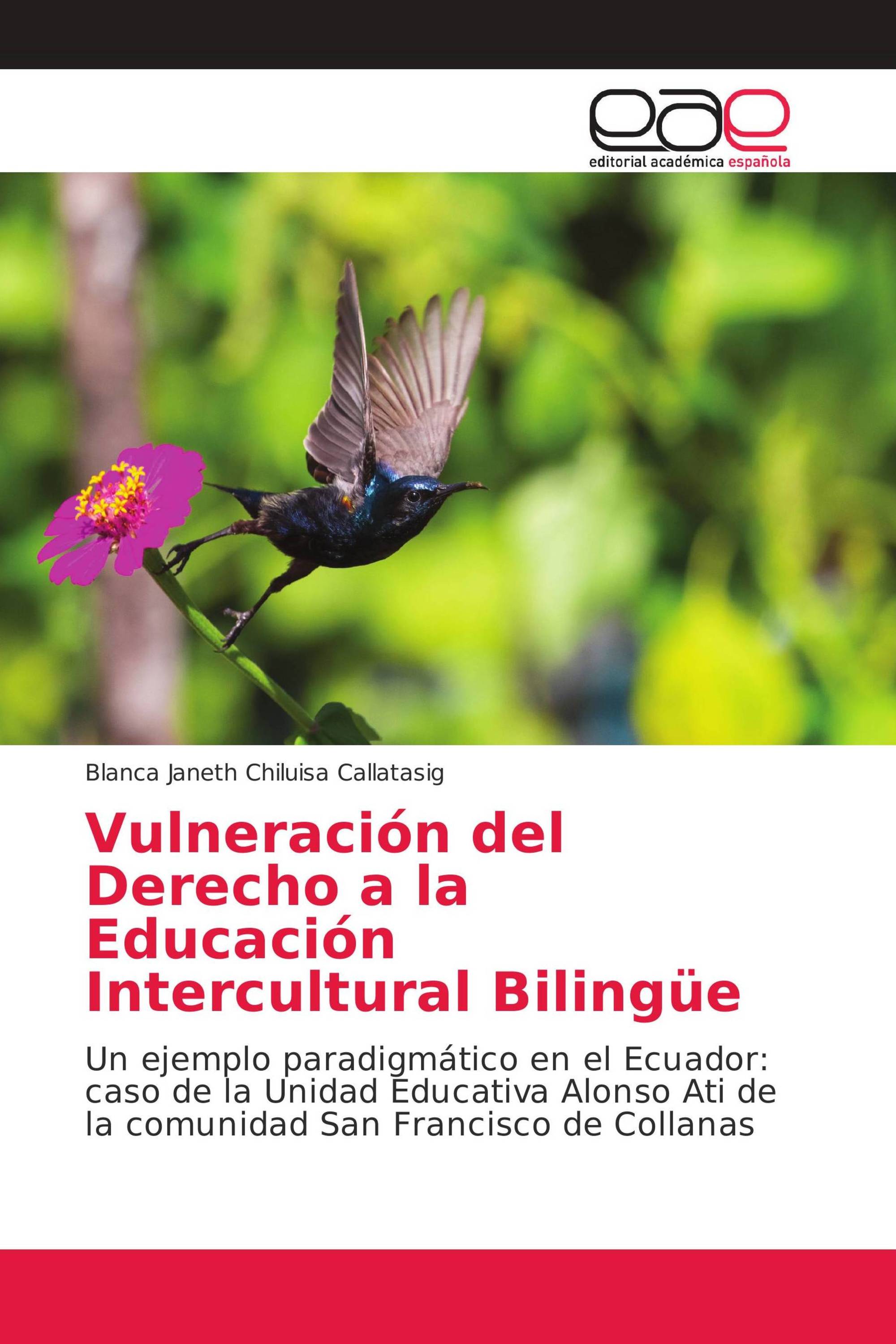 Vulneración del Derecho a la Educación Intercultural Bilingüe