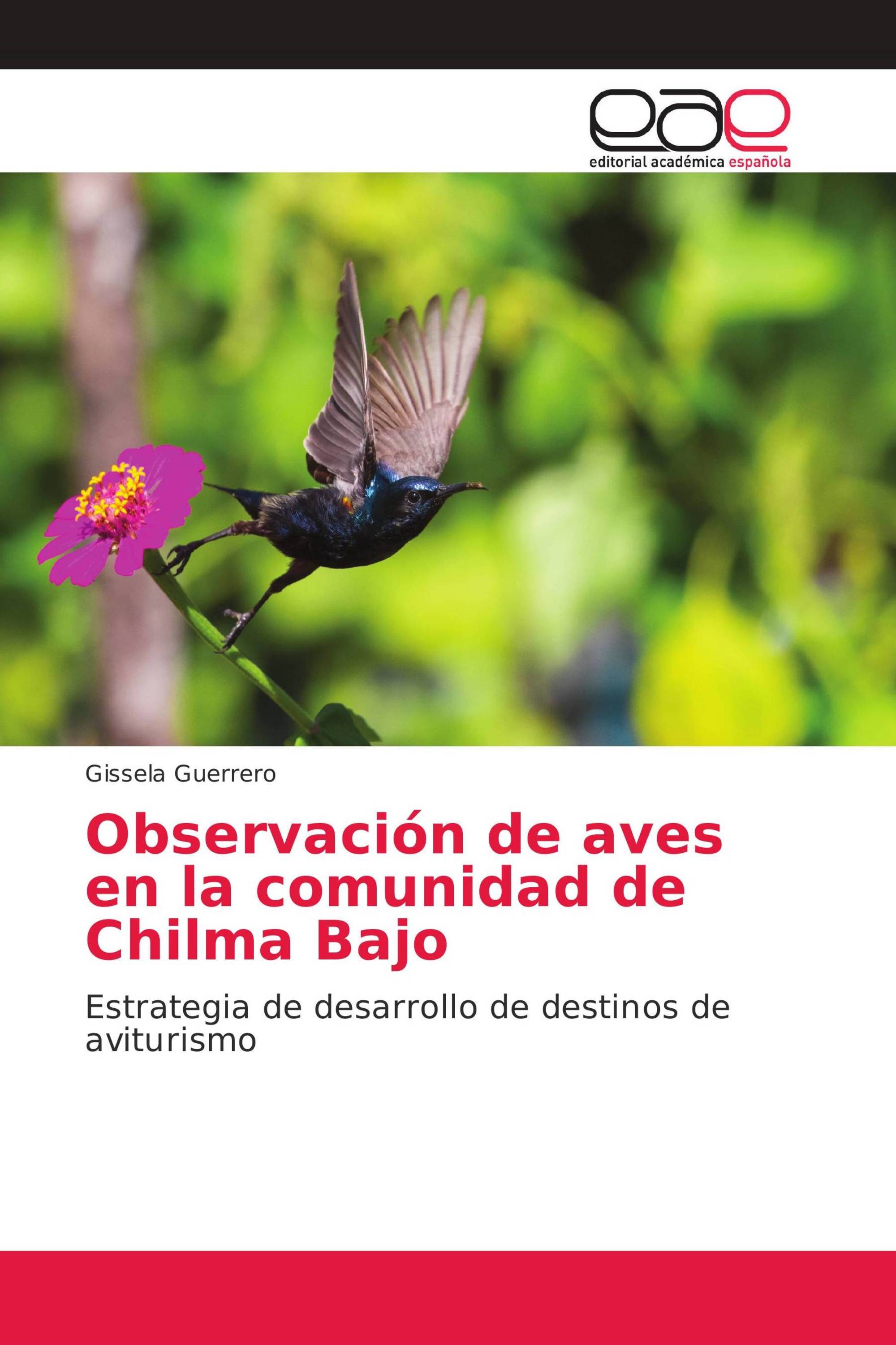 Observación de aves en la comunidad de Chilma Bajo