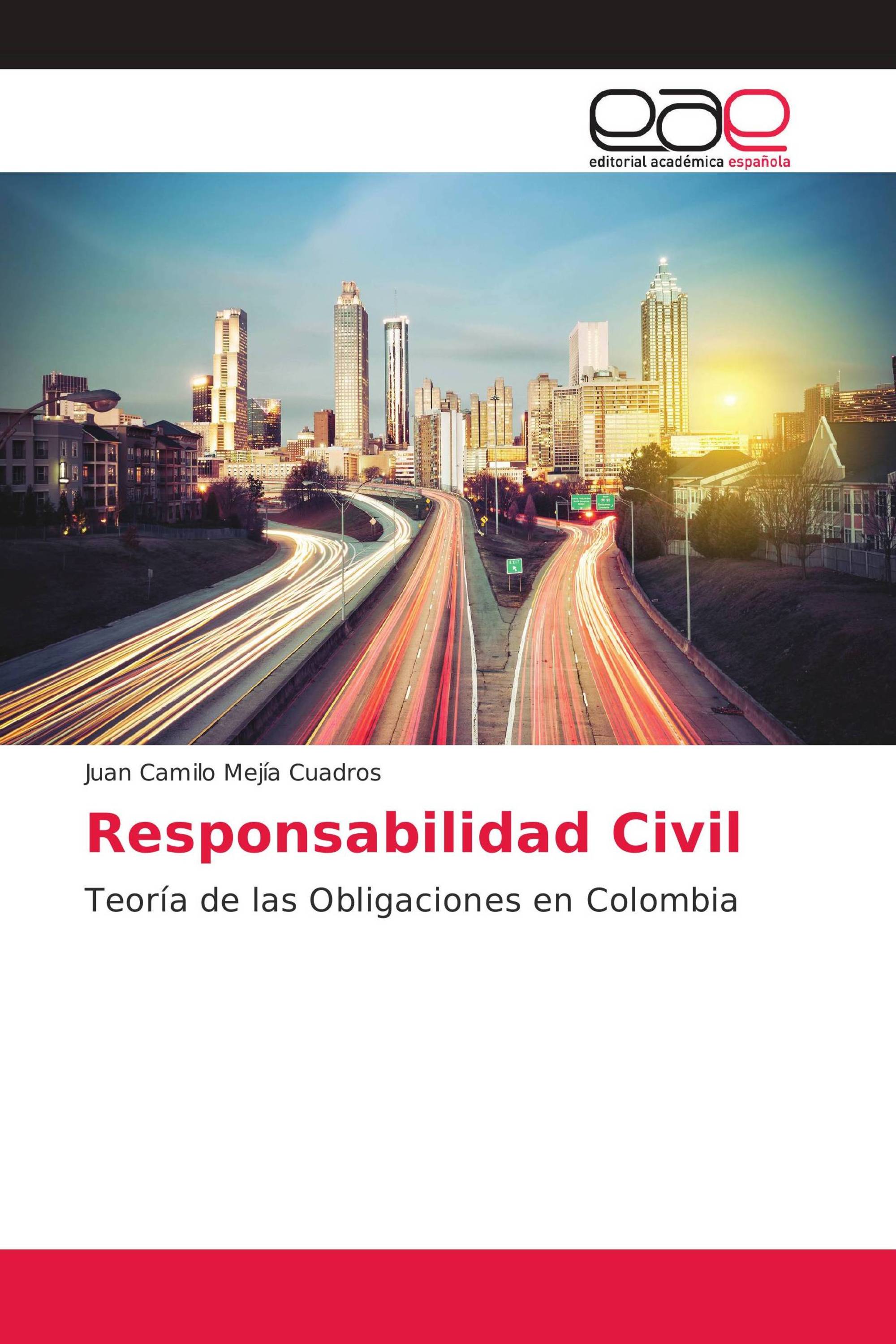 Responsabilidad Civil