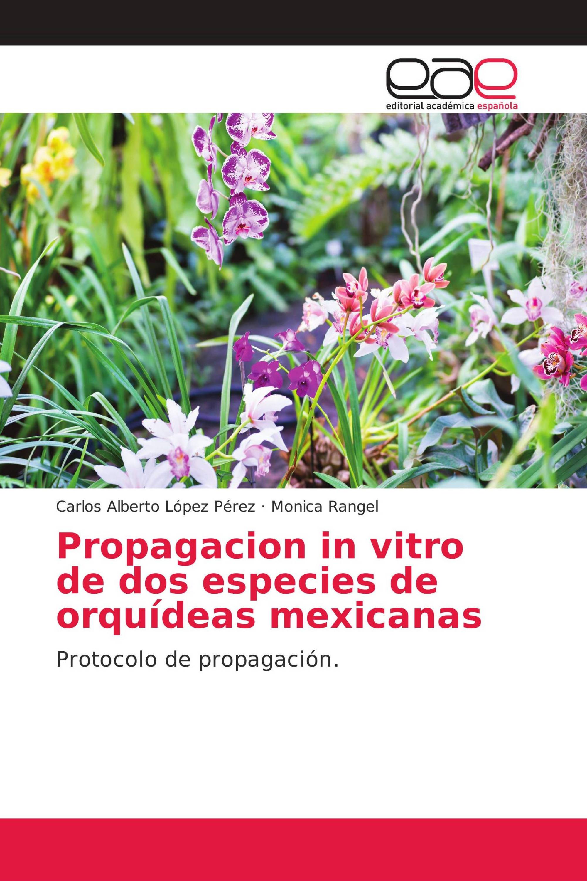 Propagacion in vitro de dos especies de orquídeas mexicanas