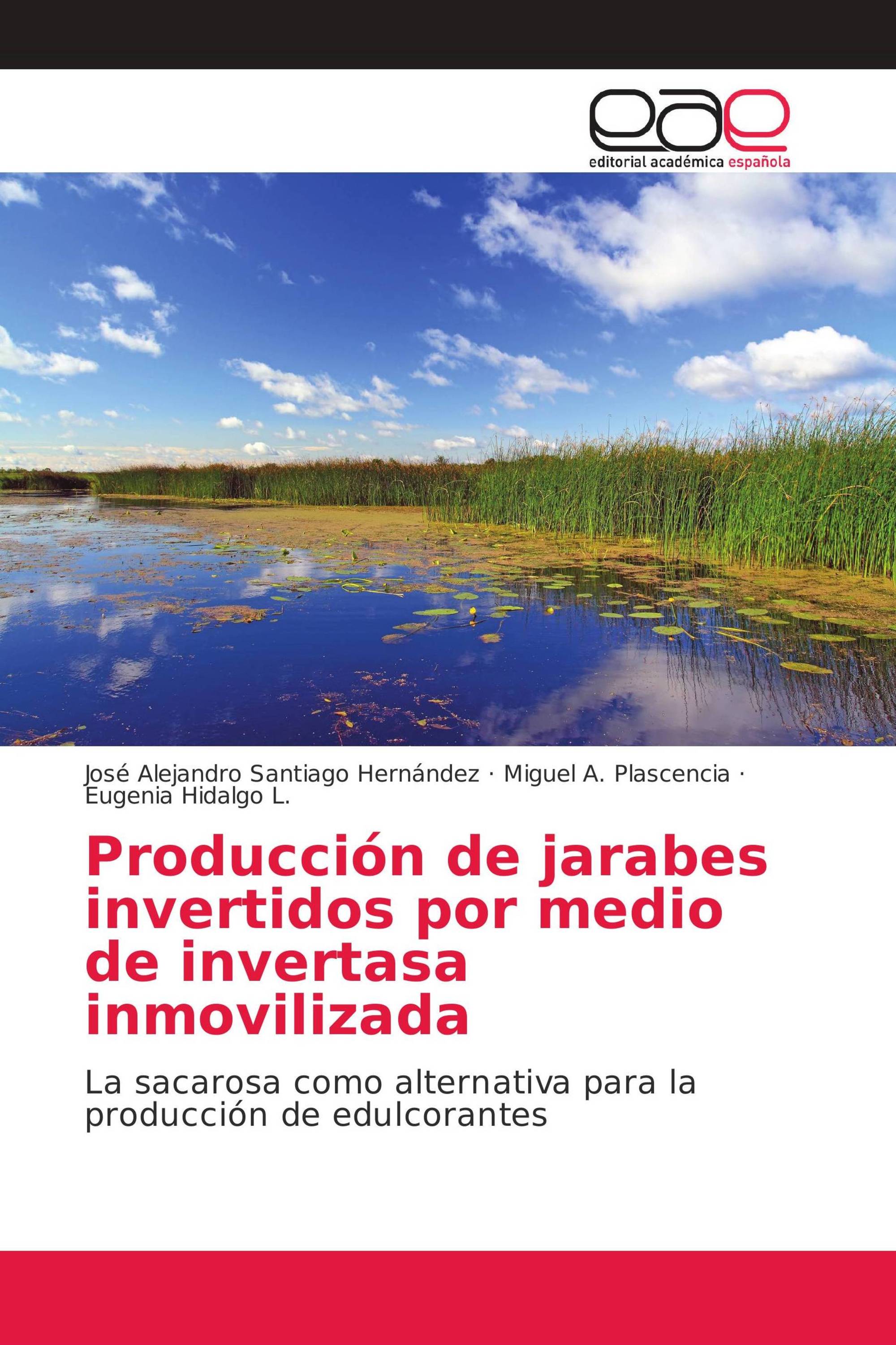 Producción de jarabes invertidos por medio de invertasa inmovilizada