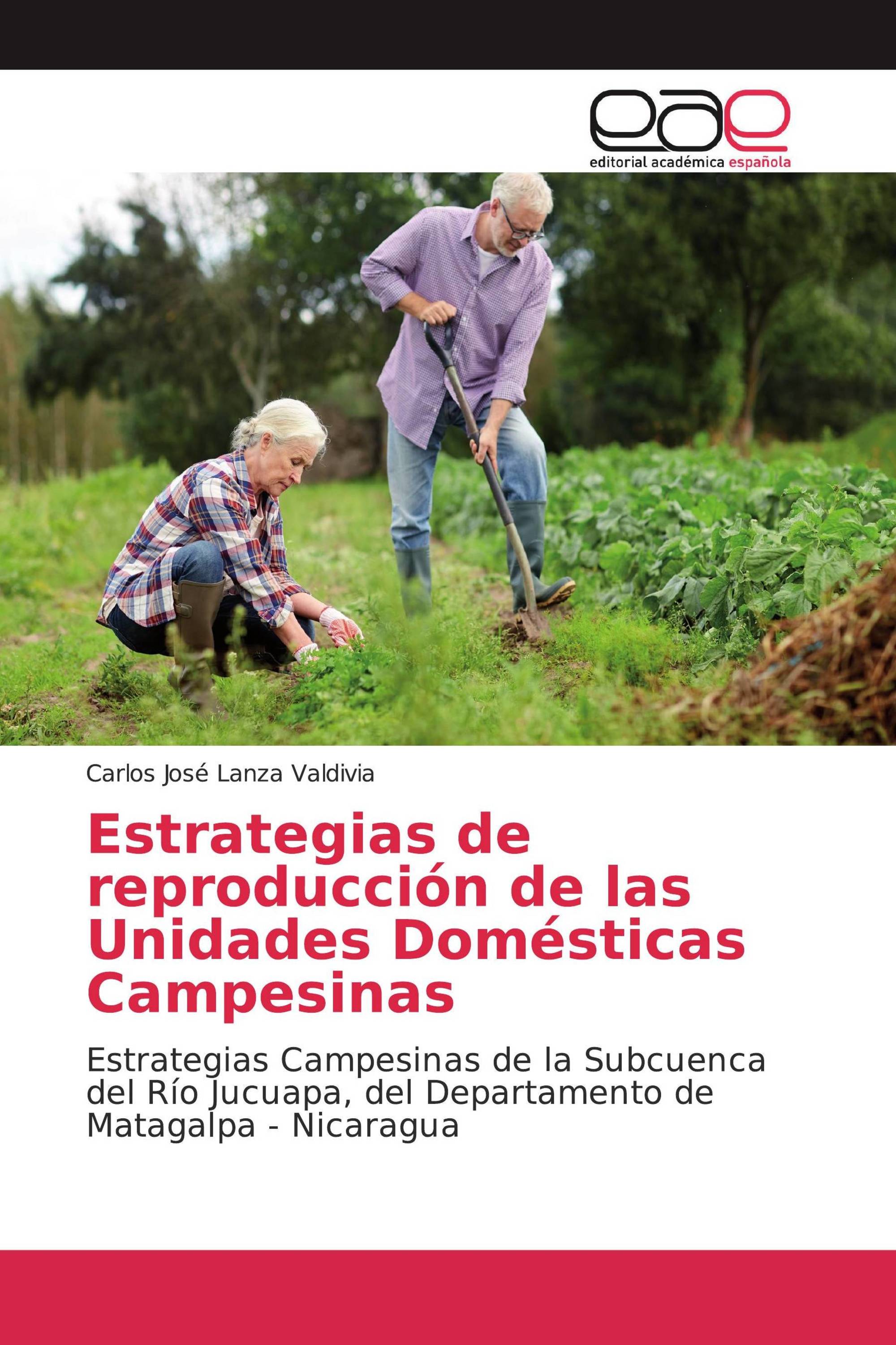 Estrategias de reproducción de las Unidades Domésticas Campesinas