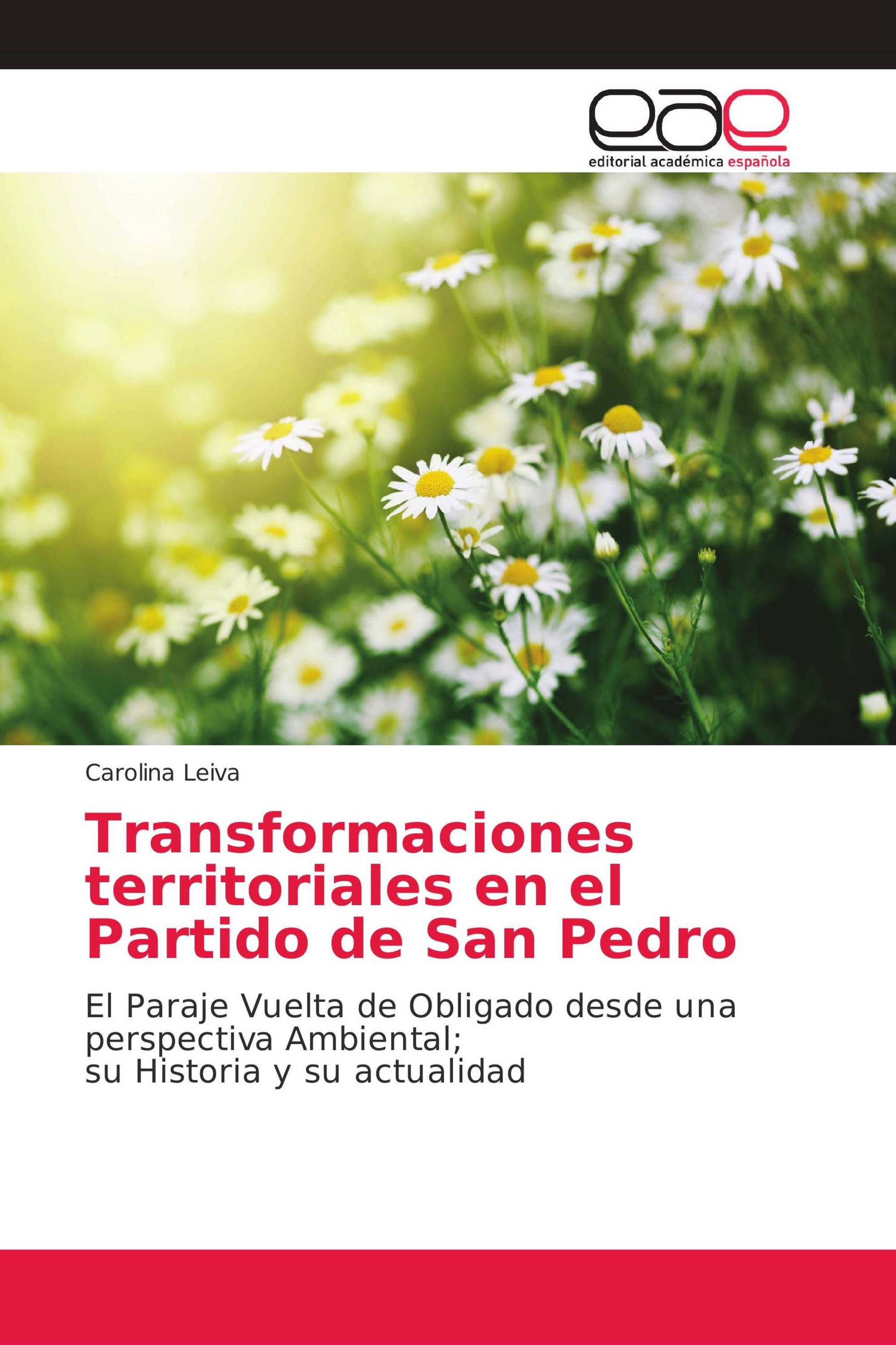 Transformaciones territoriales en el Partido de San Pedro