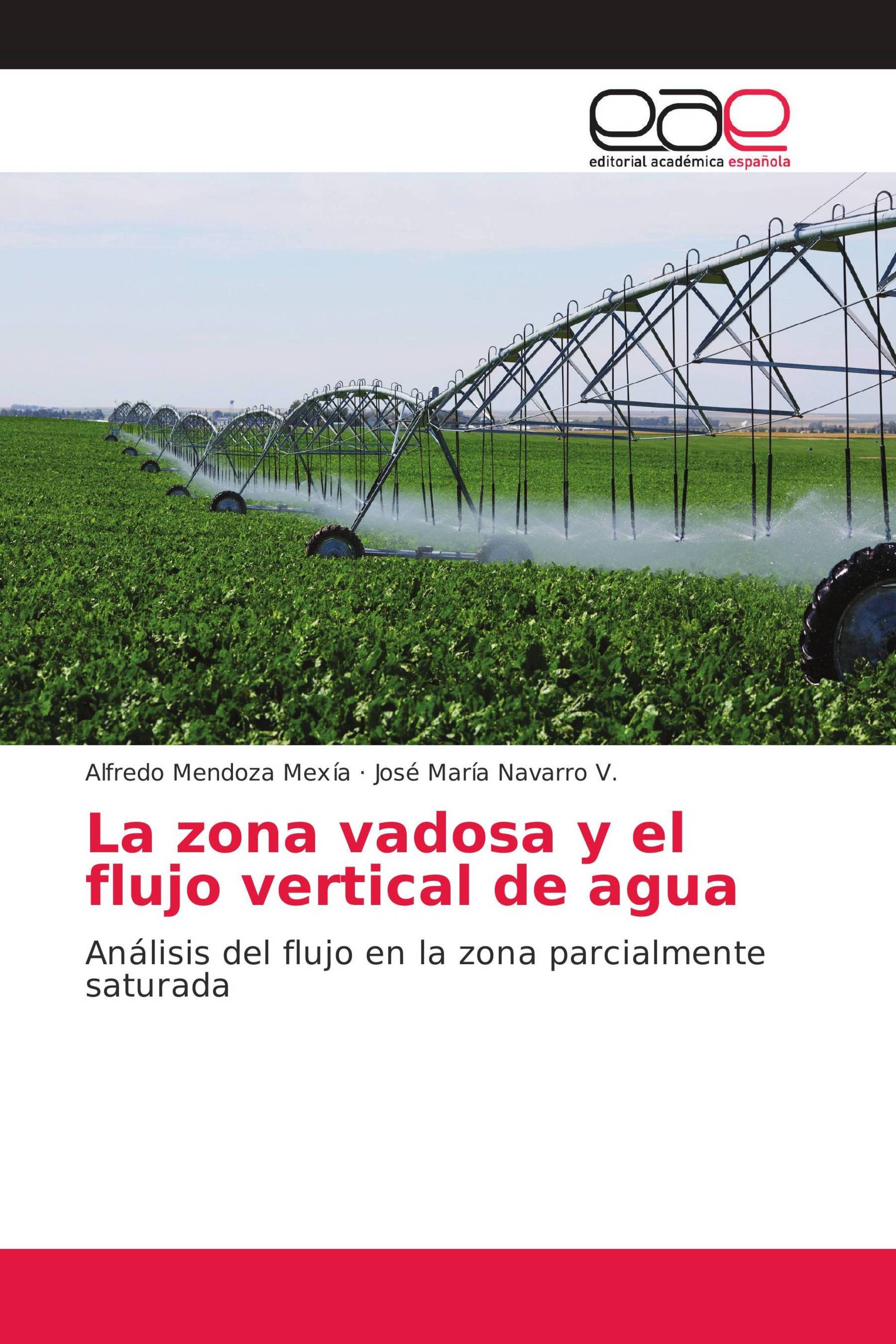 La zona vadosa y el flujo vertical de agua