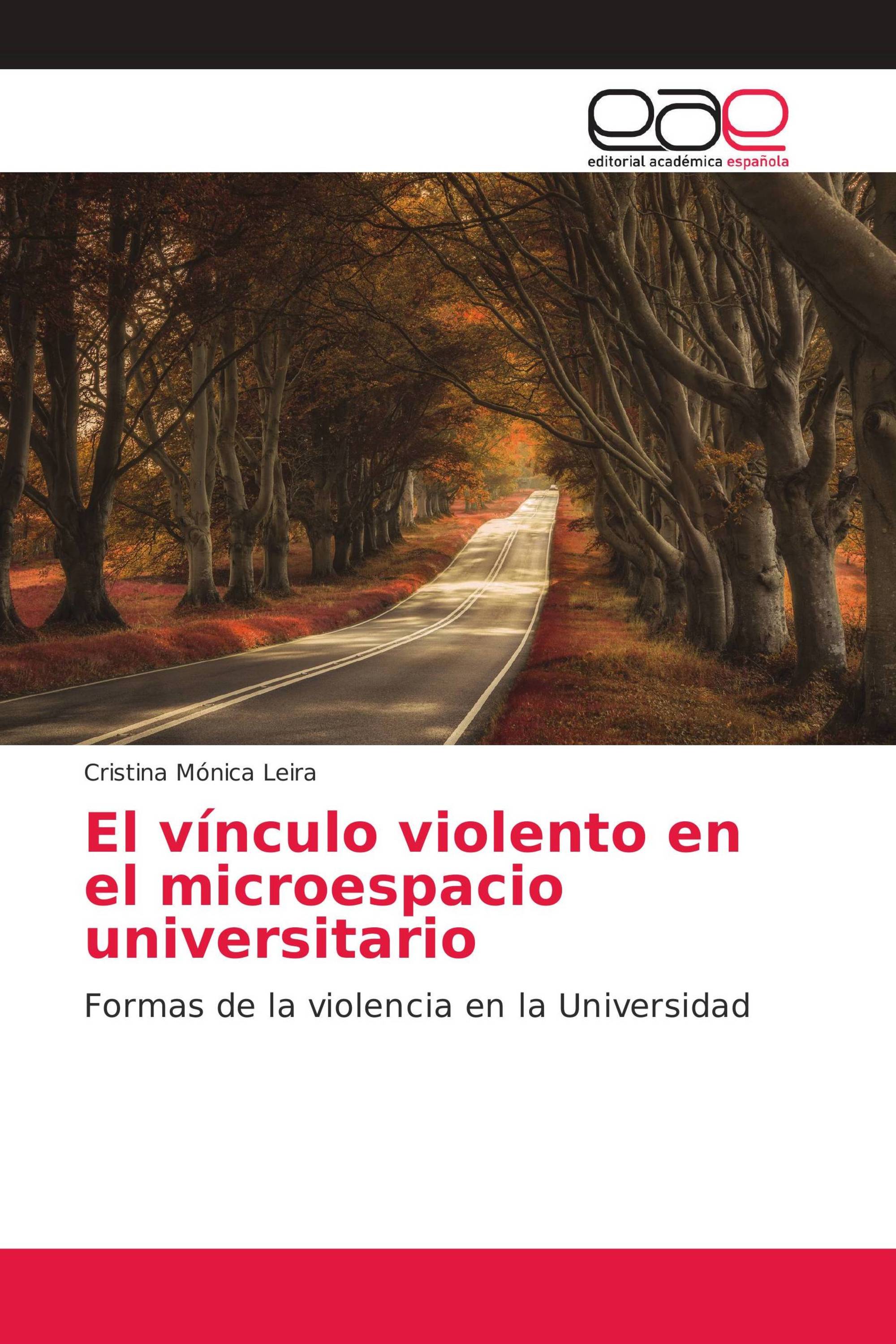 El vínculo violento en el microespacio universitario