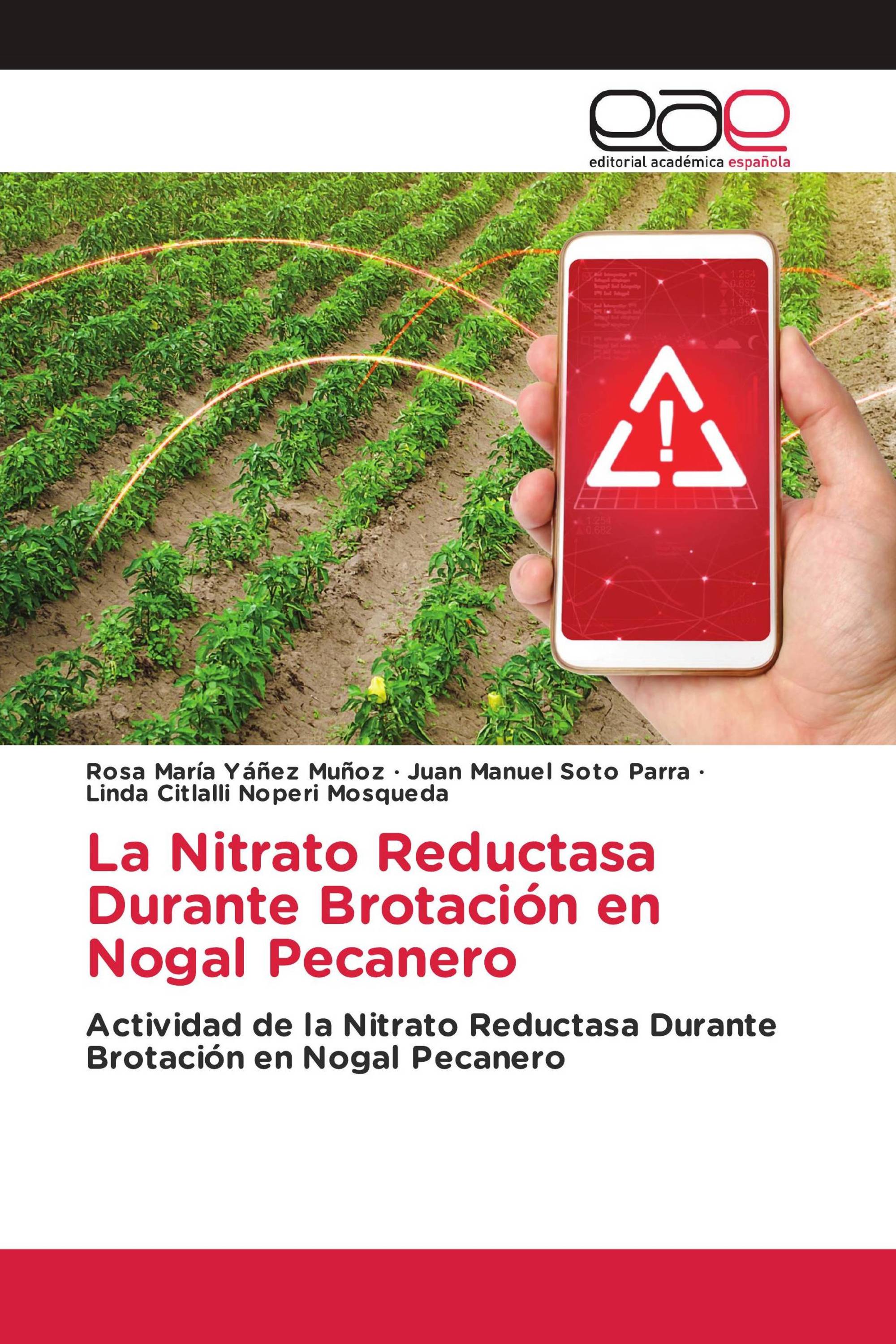 La Nitrato Reductasa Durante Brotación en Nogal Pecanero