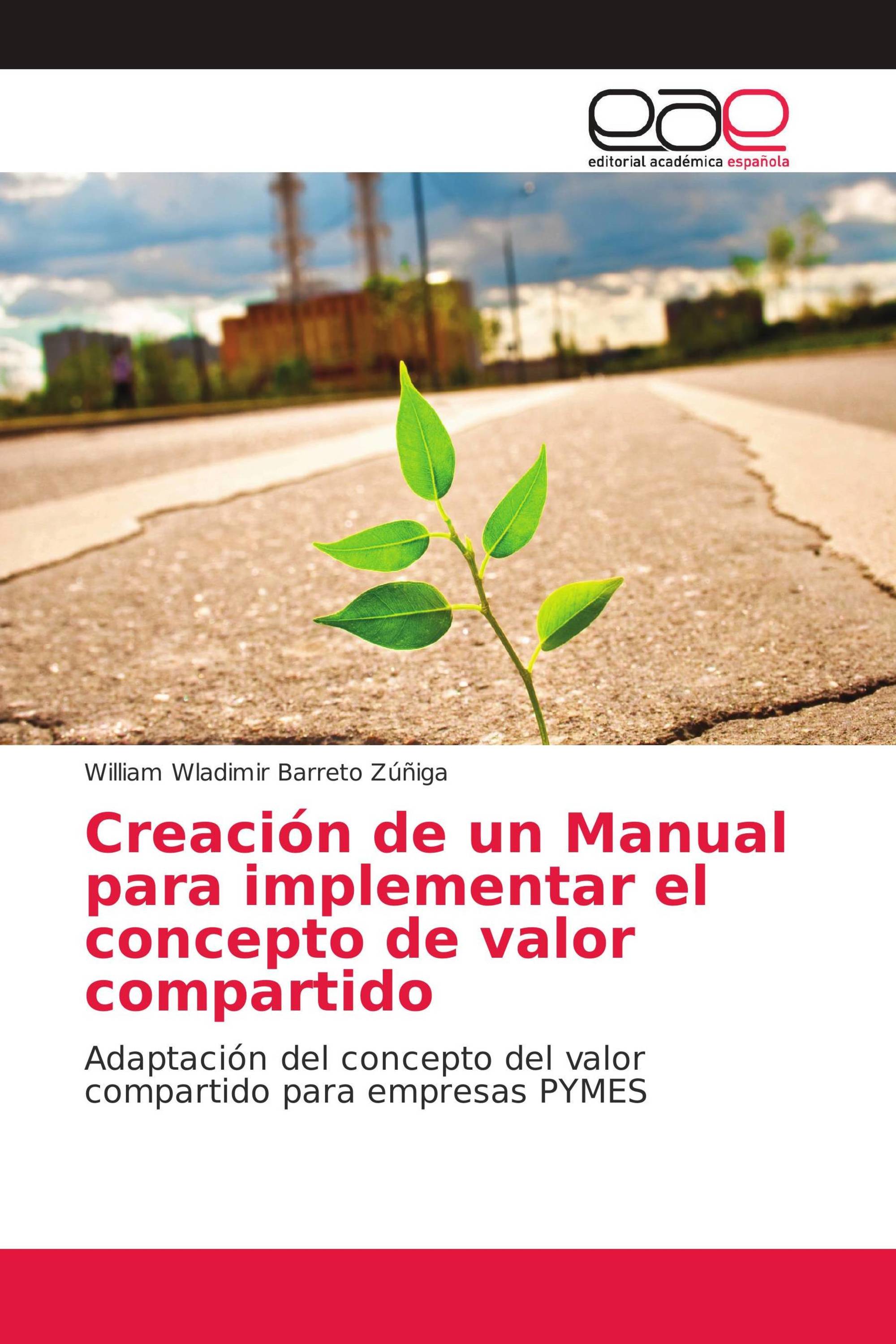 Creación de un Manual para implementar el concepto de valor compartido