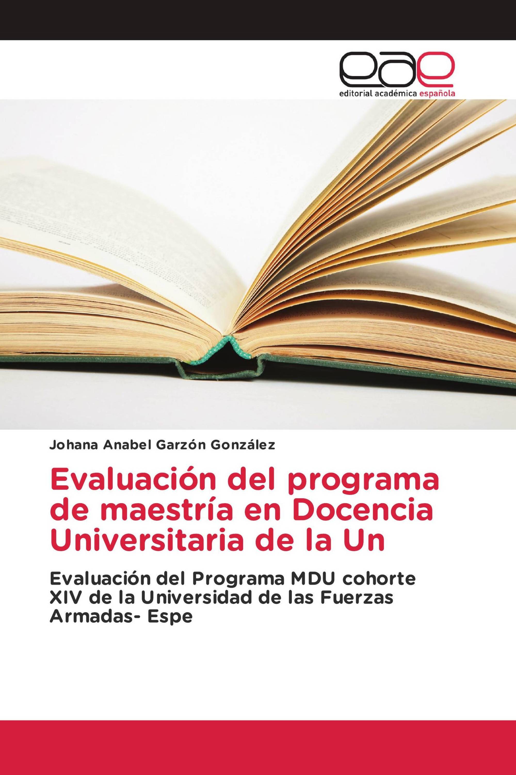 Evaluación del programa de maestría en Docencia Universitaria de la Un