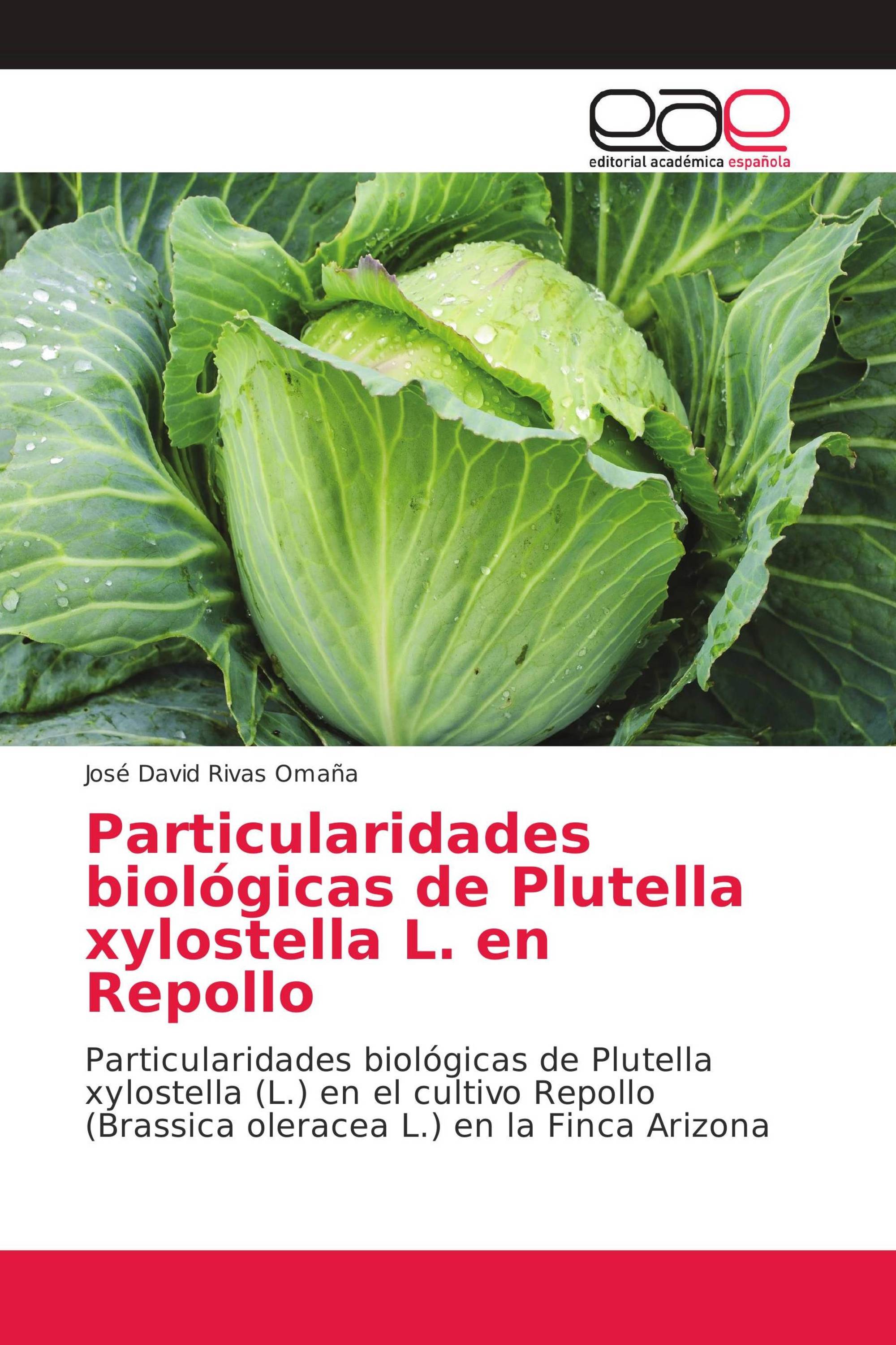 Particularidades biológicas de Plutella xylostella L. en Repollo