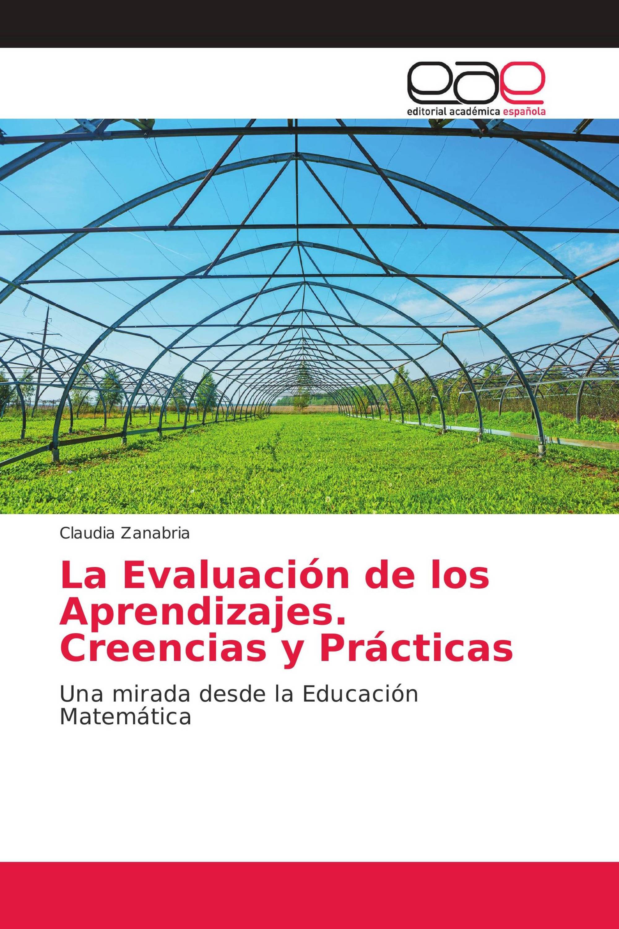 La Evaluación de los Aprendizajes. Creencias y Prácticas