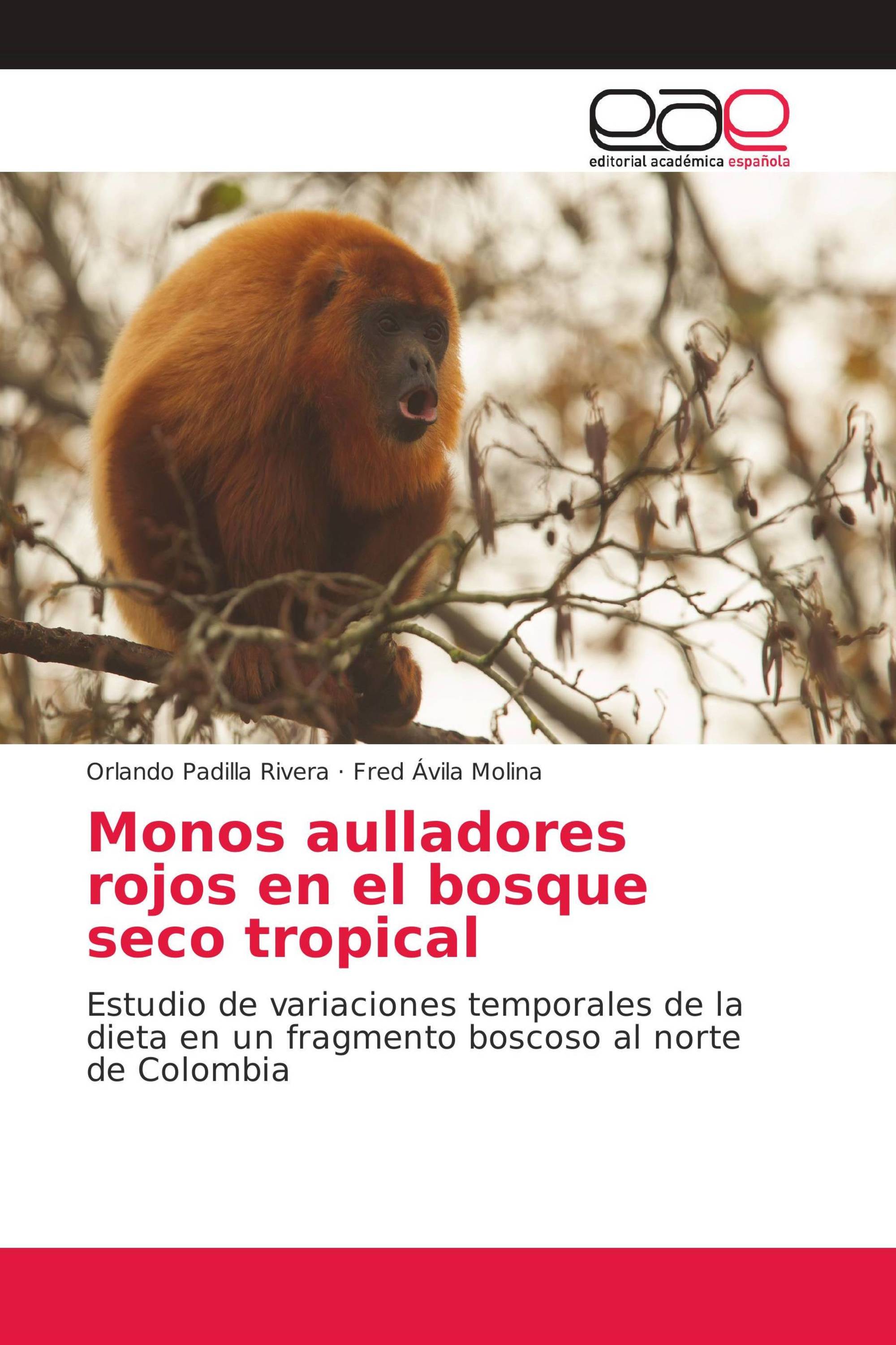 Monos aulladores rojos en el bosque seco tropical