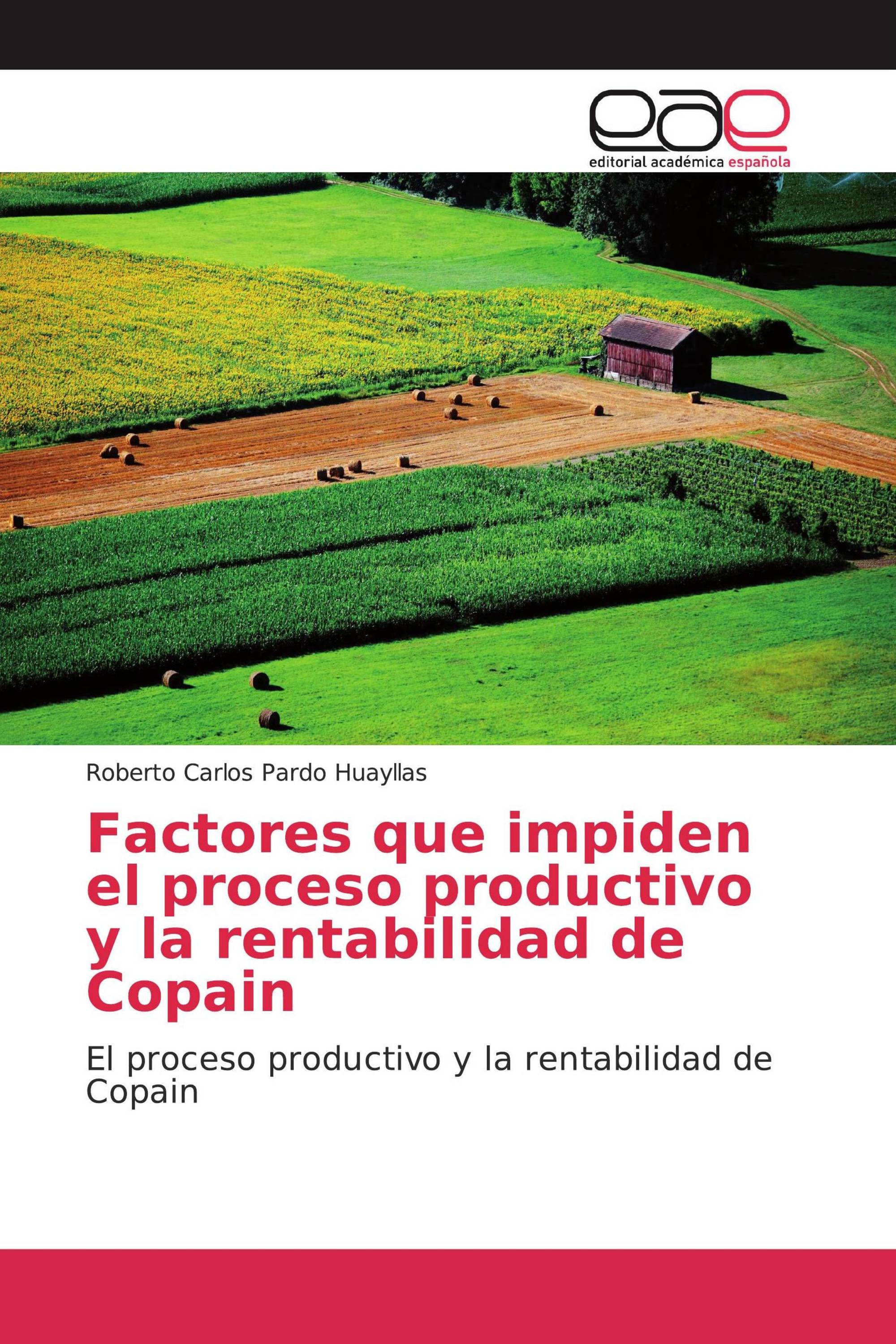 Factores que impiden el proceso productivo y la rentabilidad de Copain