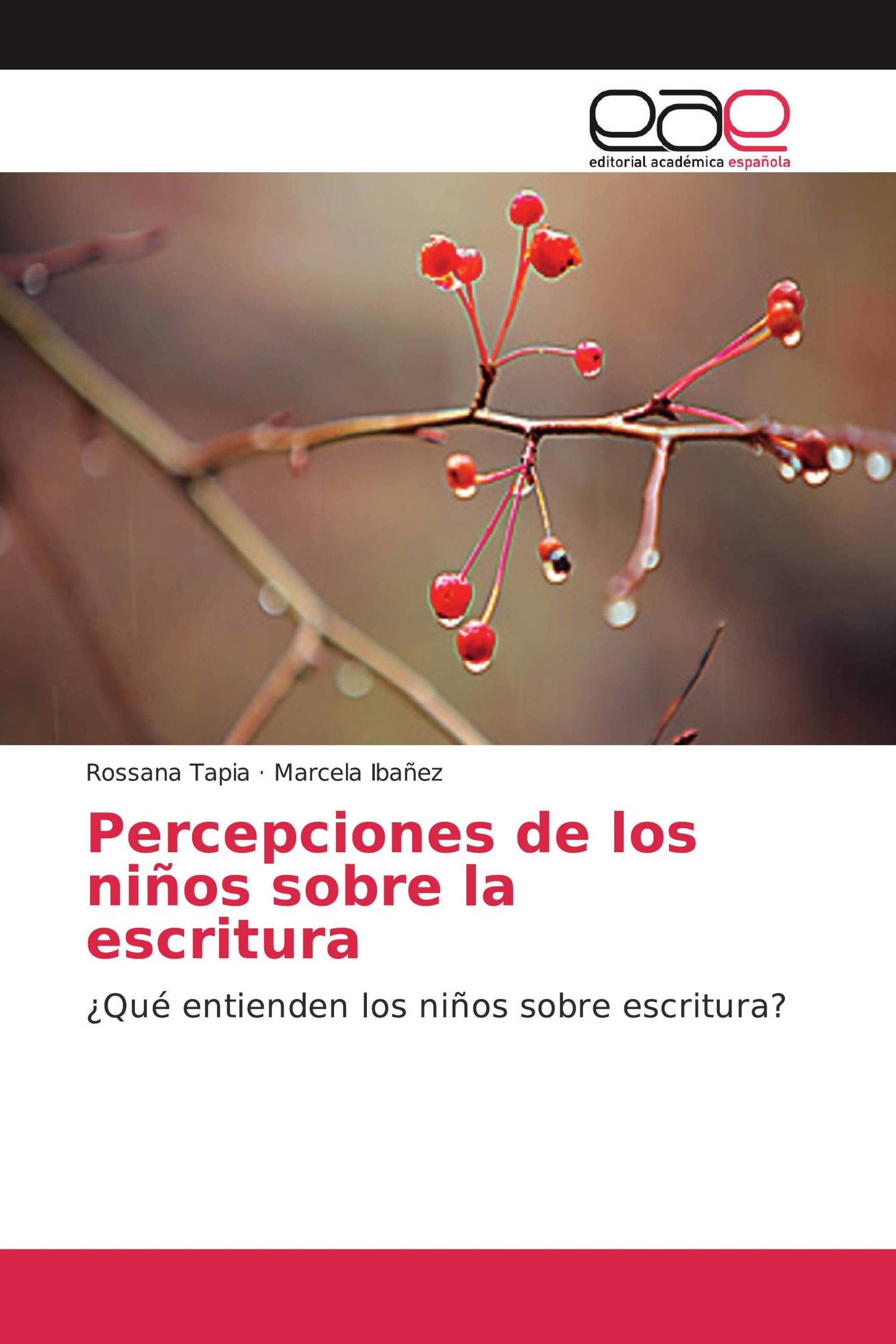 Percepciones de los niños sobre la escritura