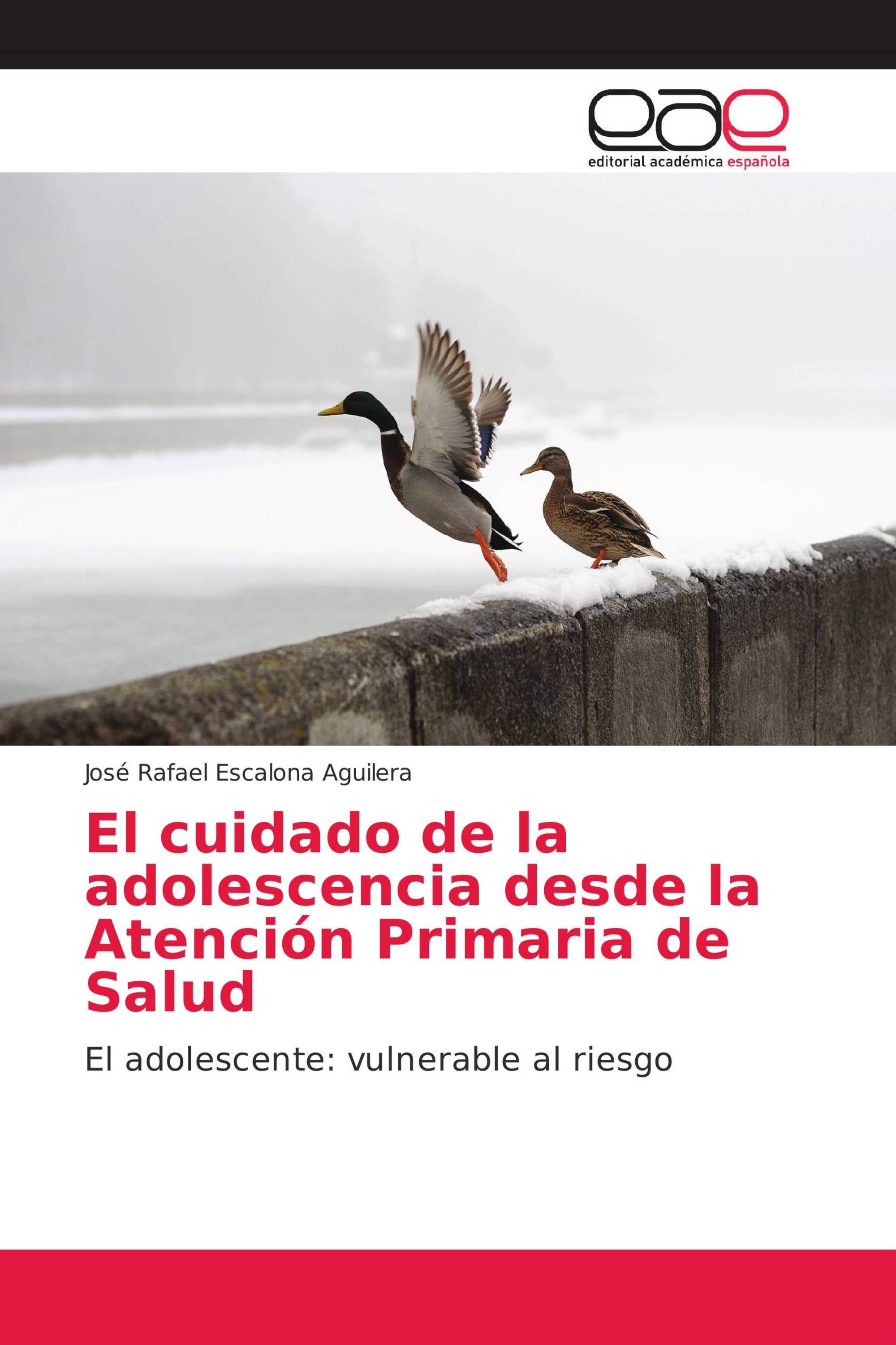 El cuidado de la adolescencia desde la Atención Primaria de Salud